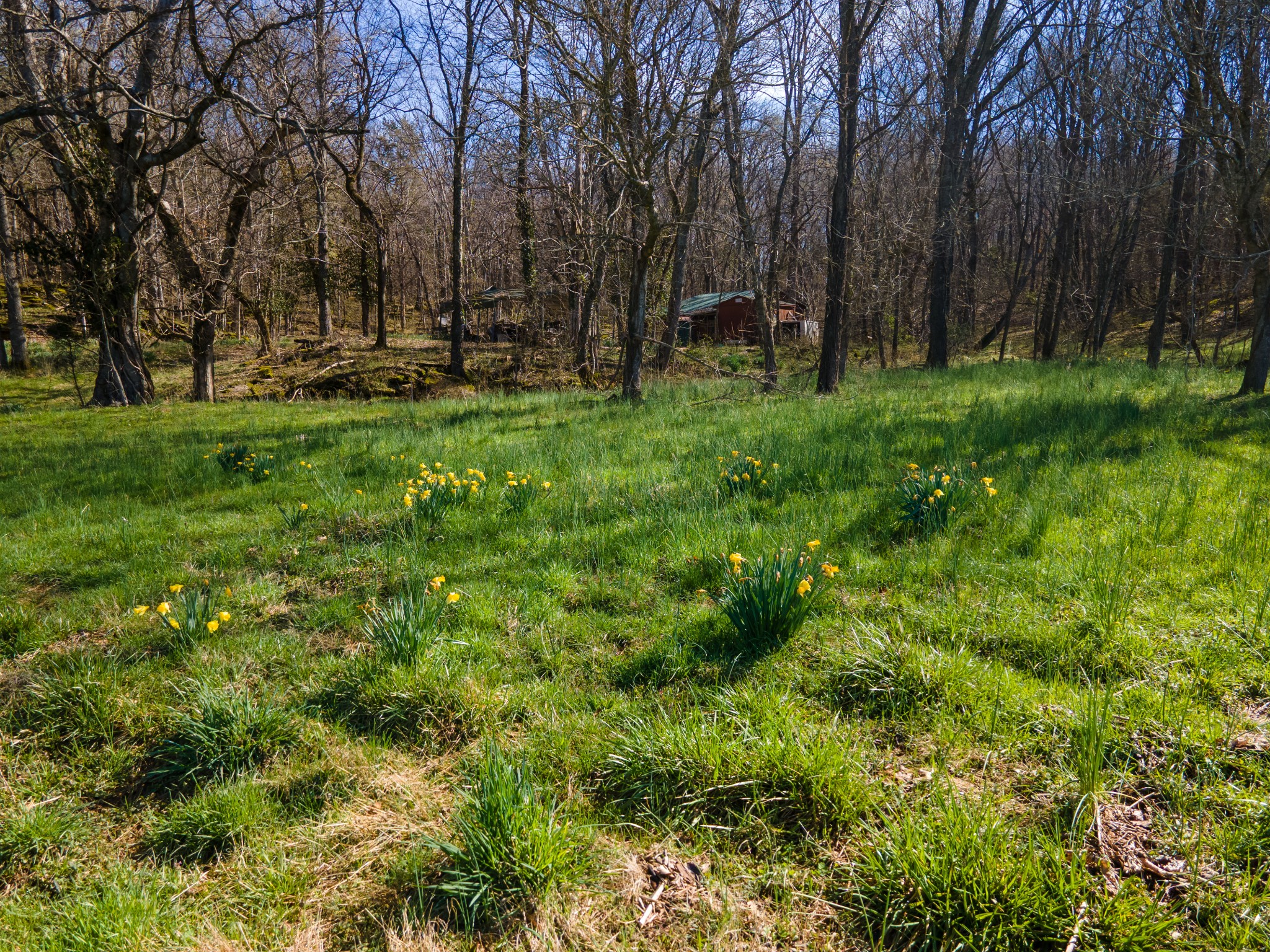 0 Empson Road Property Photo 34
