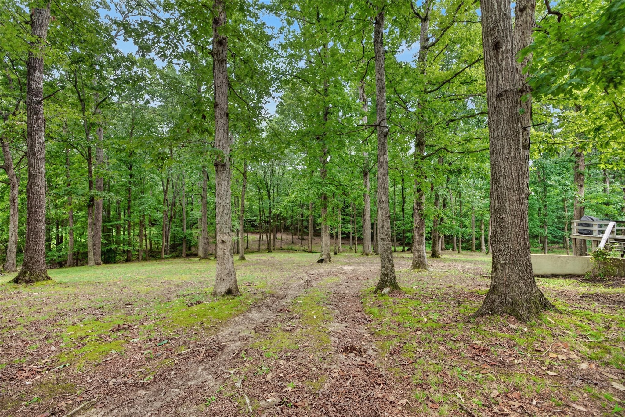175 Castleton Cv Property Photo 42