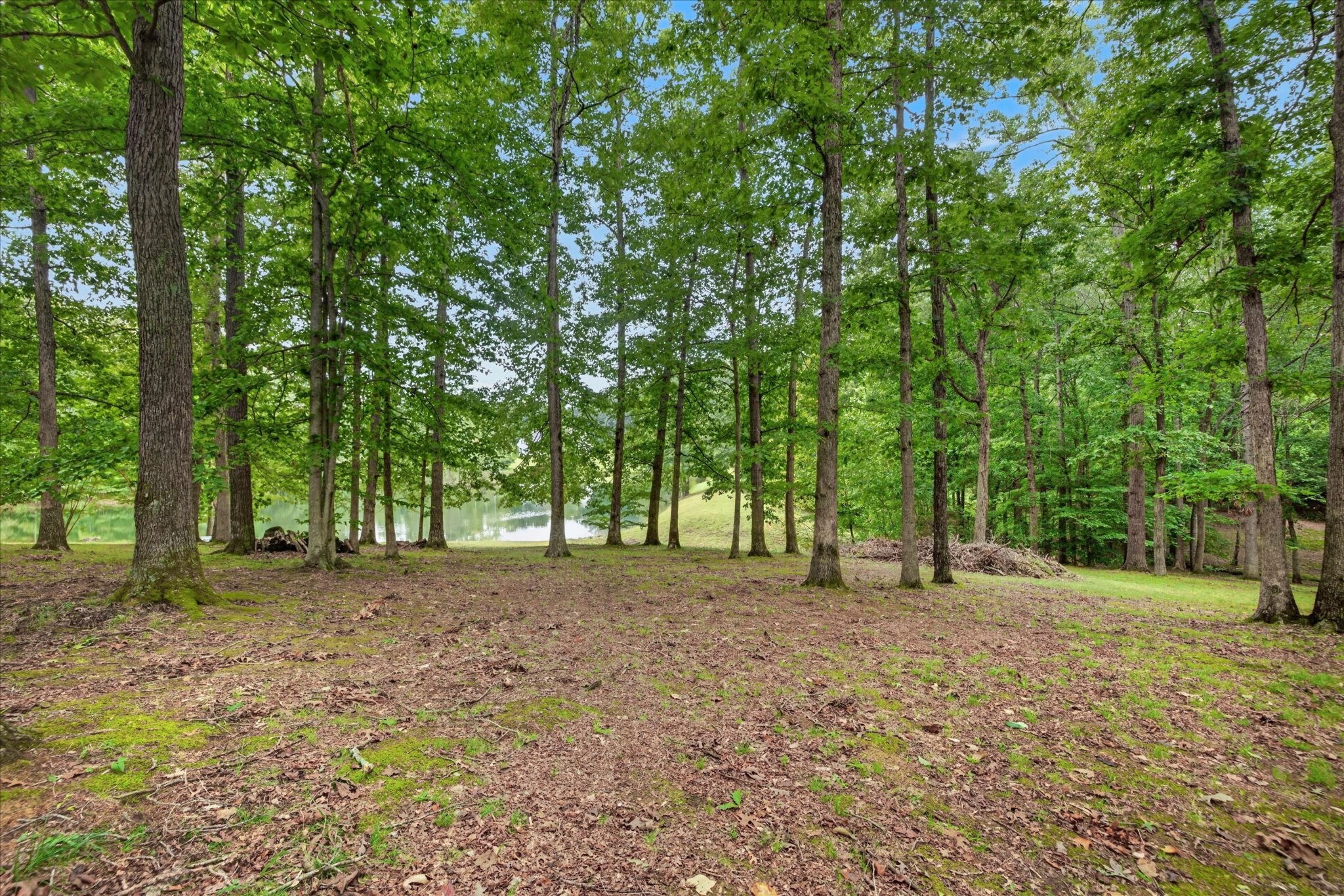175 Castleton Cv Property Photo 43