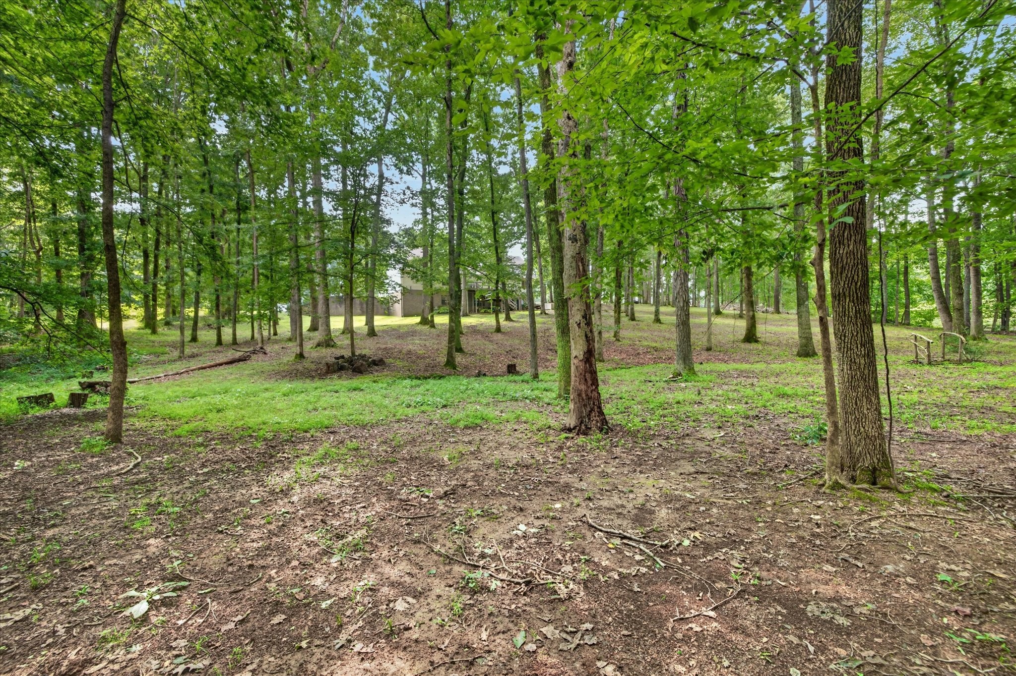 175 Castleton Cv Property Photo 46