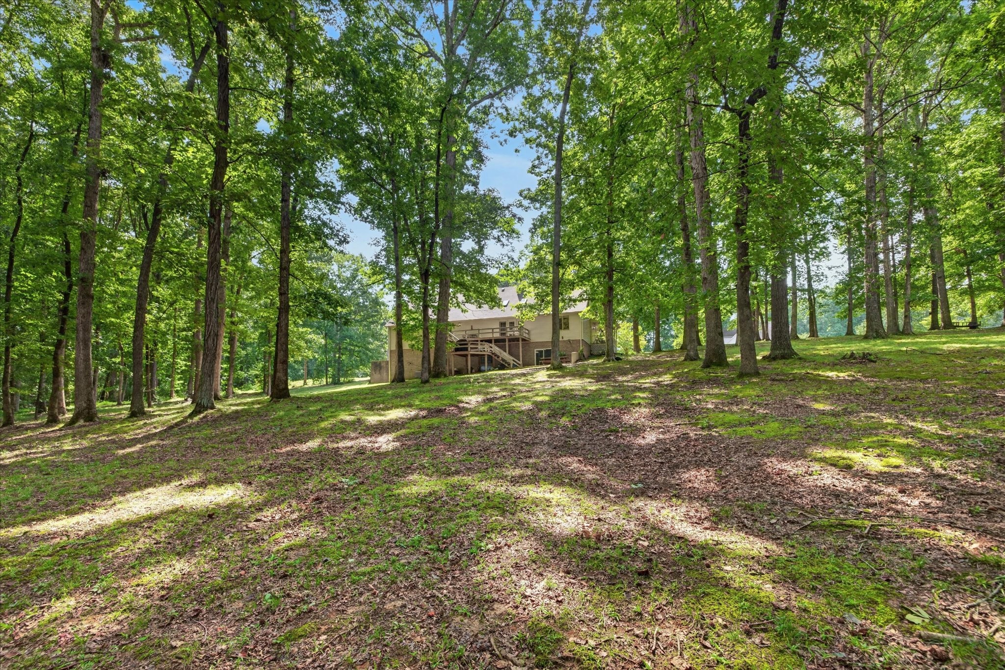175 Castleton Cv Property Photo 47