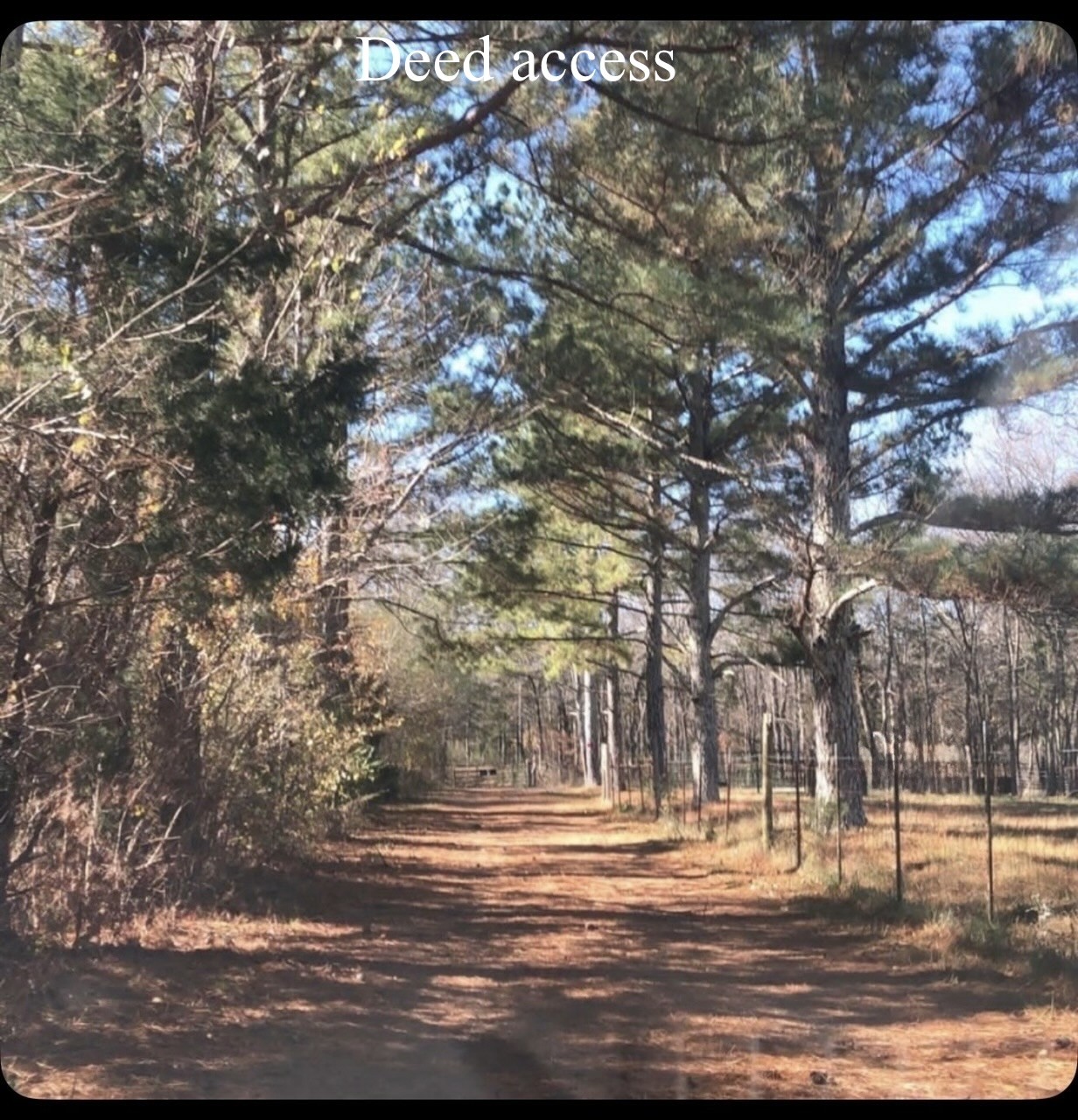 1596 Wilburn Phillips Rd Property Photo 1