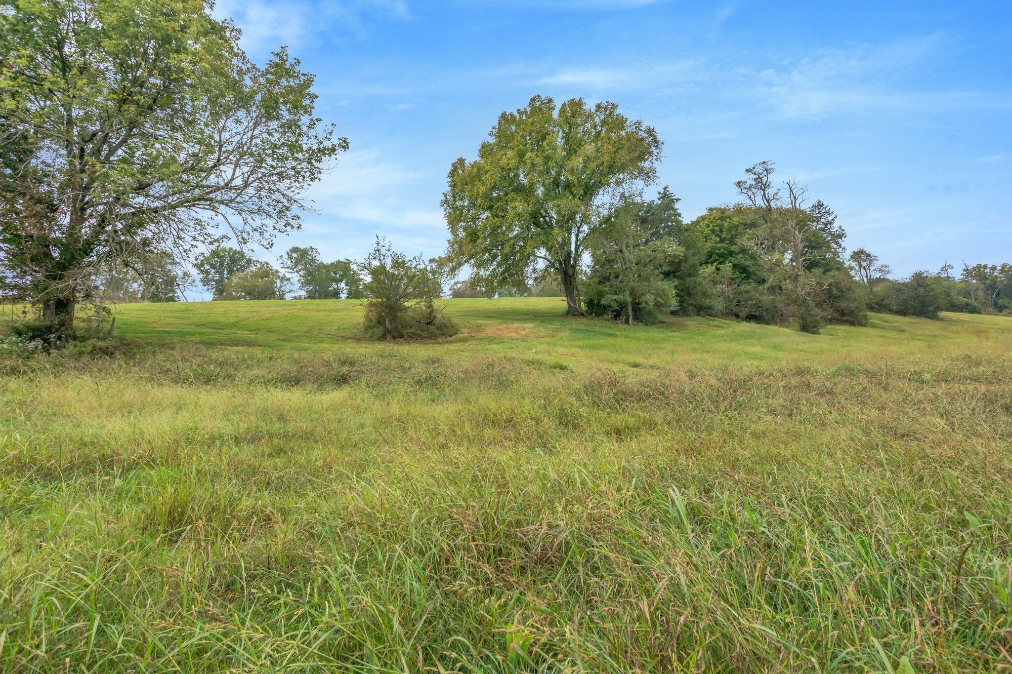 1613 John Sharp Rd Property Photo 57