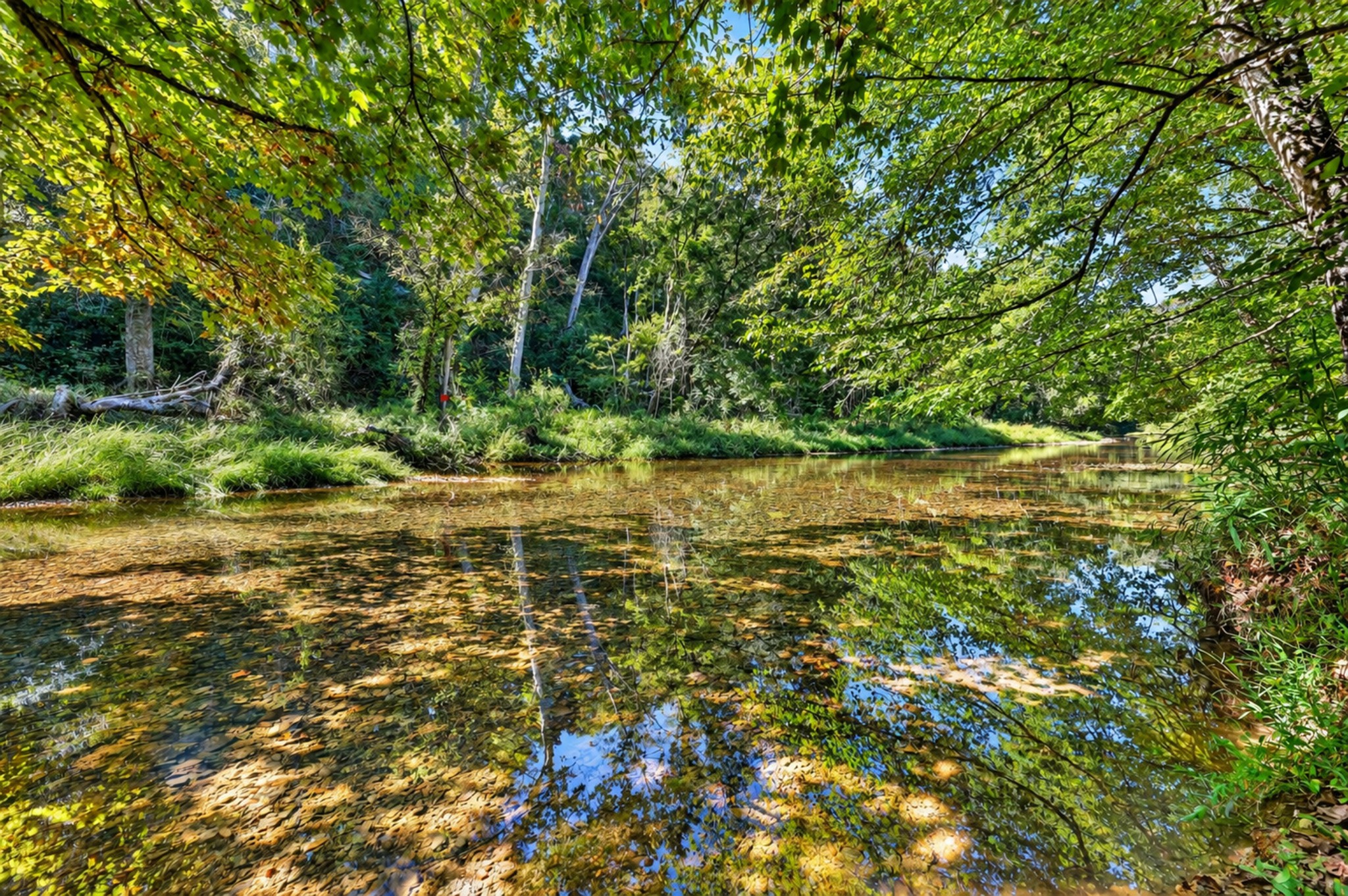 160 Backside Beaverdam Road Property Photo 1