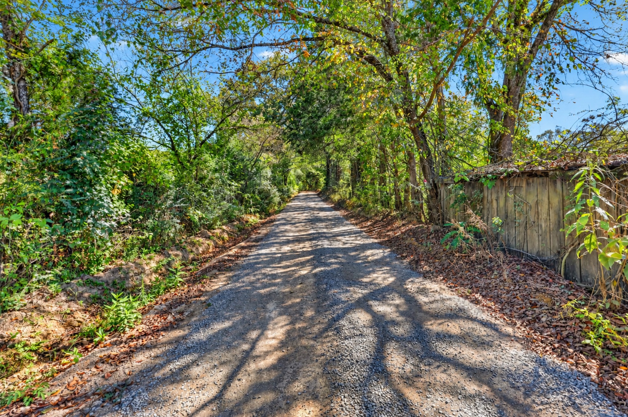 160 Backside Beaverdam Road Property Photo 3