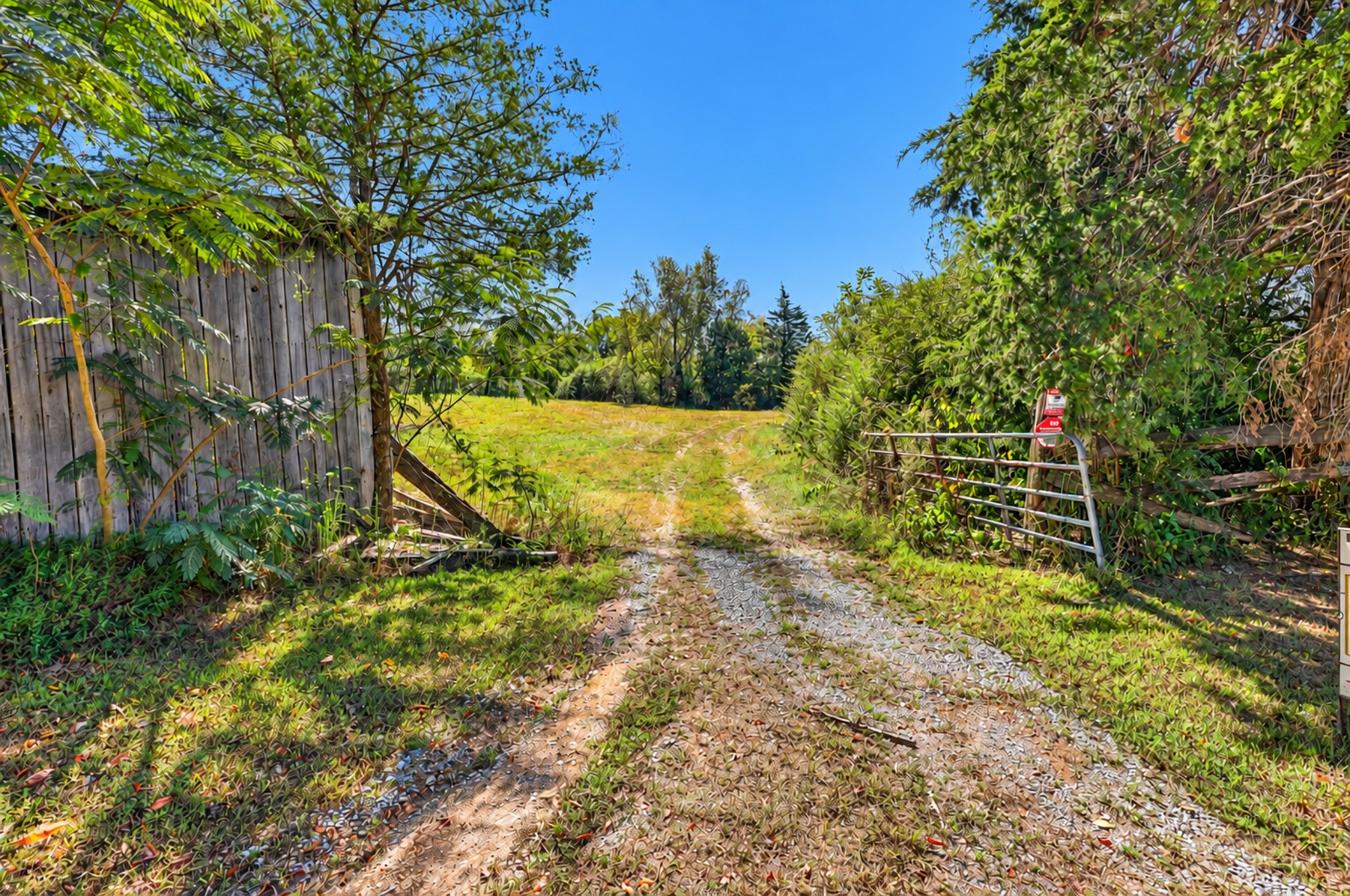160 Backside Beaverdam Road Property Photo 4