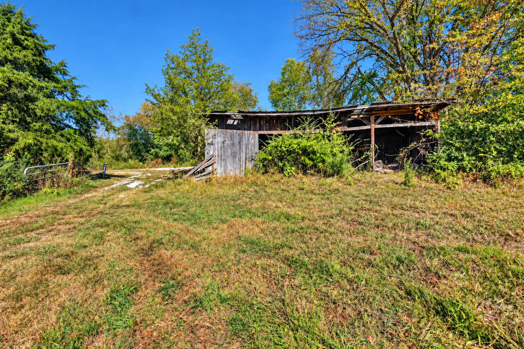 160 Backside Beaverdam Road Property Photo 5