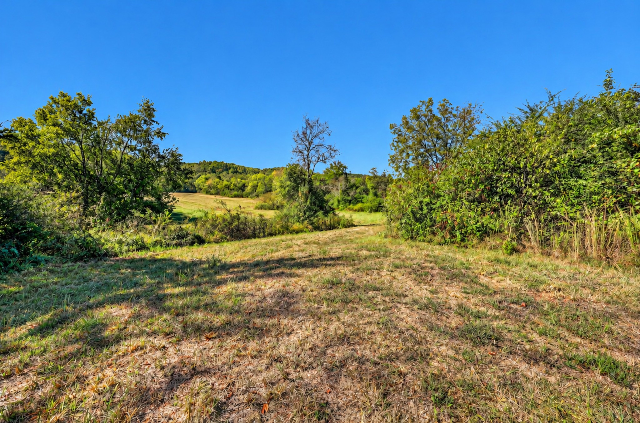 160 Backside Beaverdam Road Property Photo 7