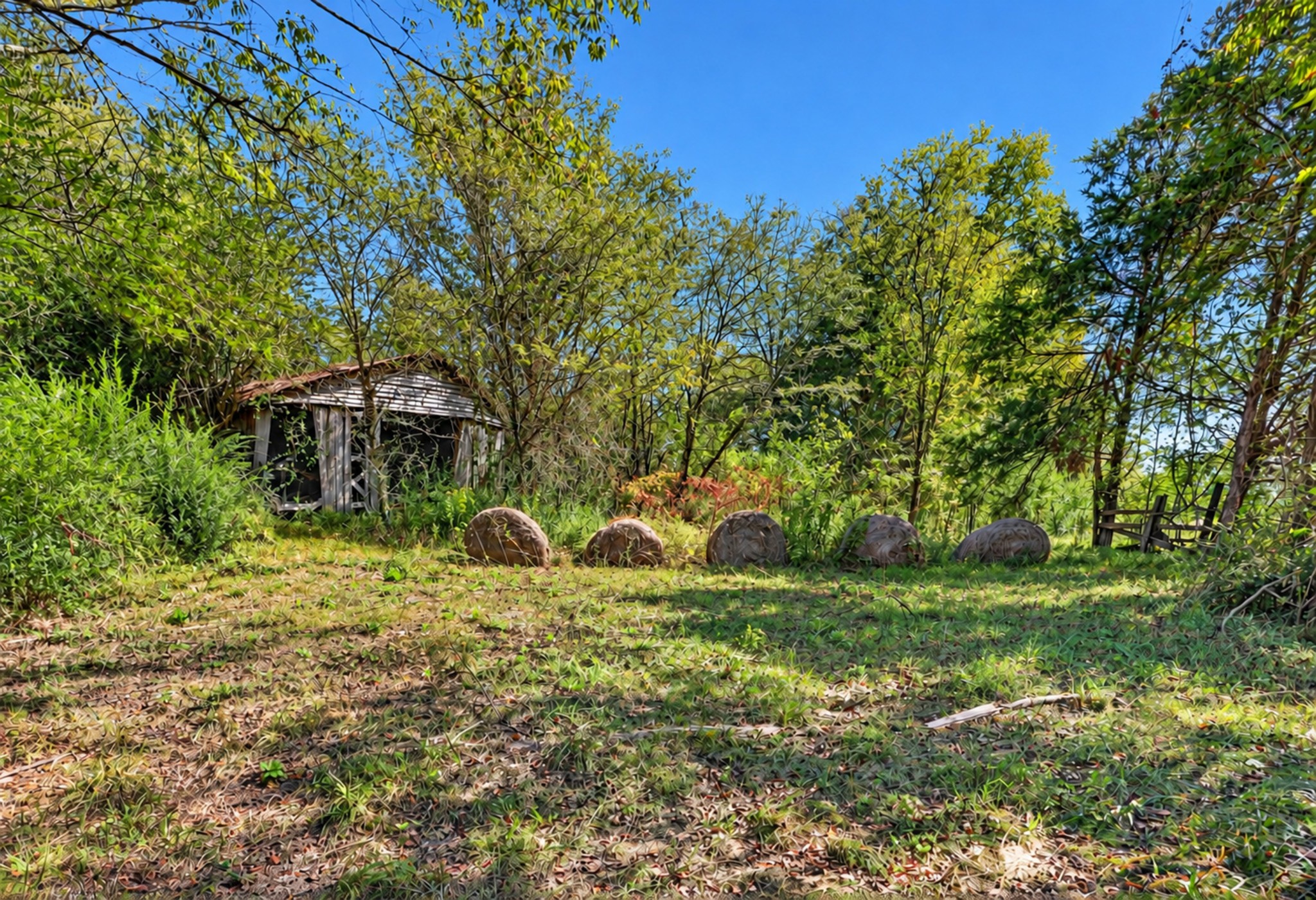 160 Backside Beaverdam Road Property Photo 8