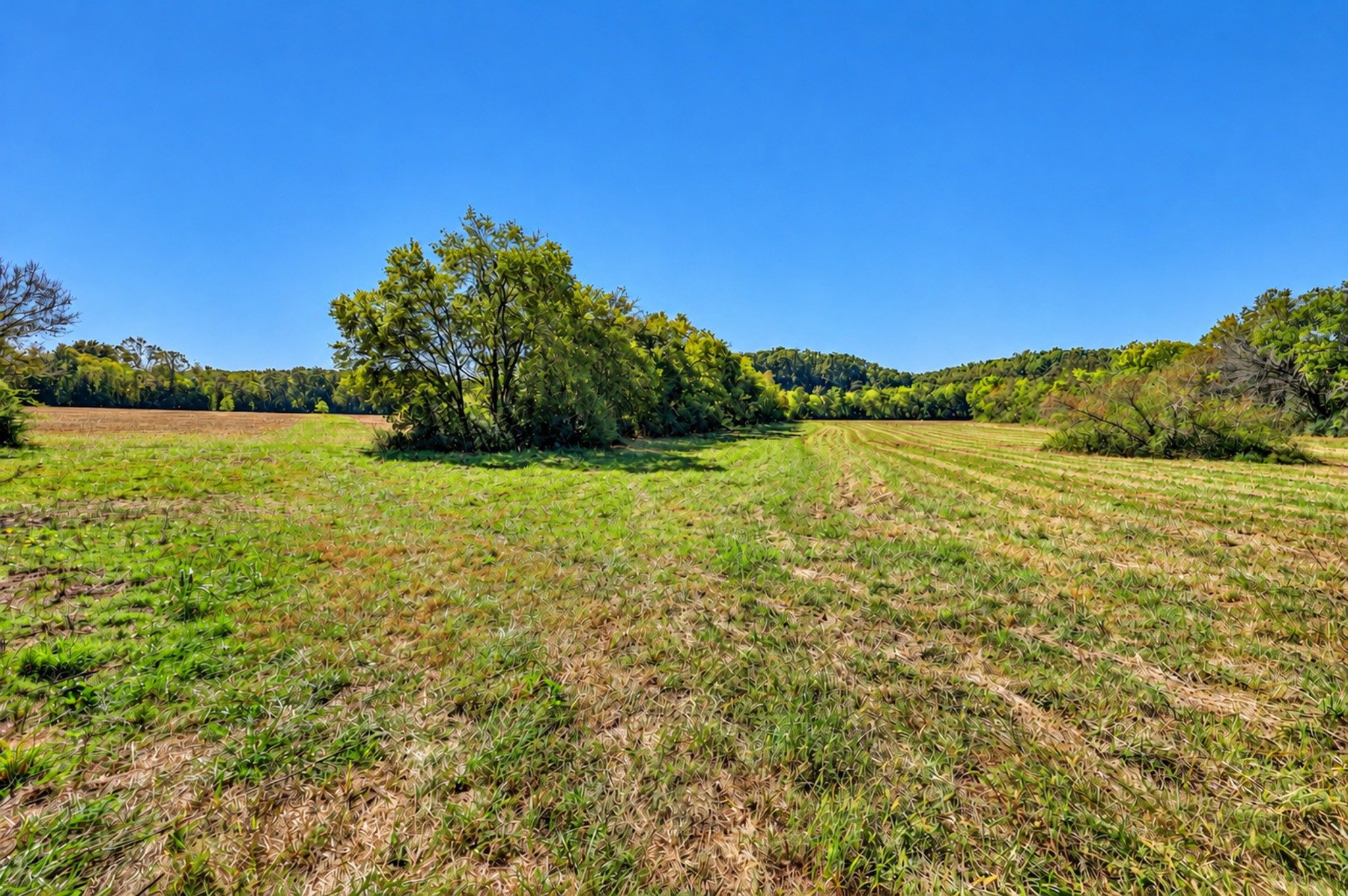 160 Backside Beaverdam Road Property Photo 9