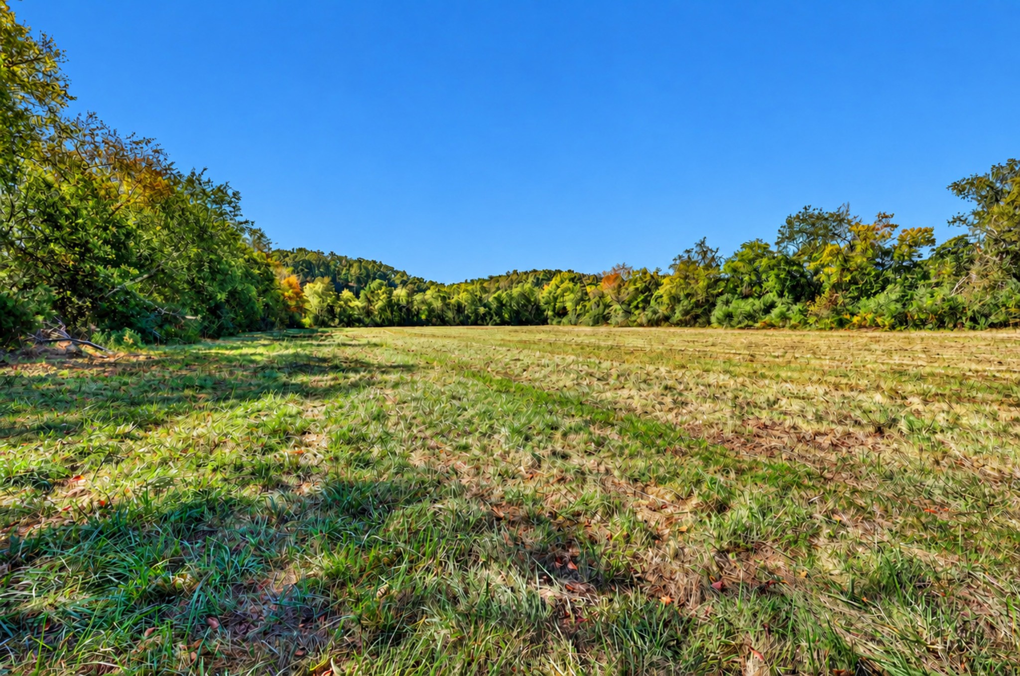 160 Backside Beaverdam Road Property Photo 11