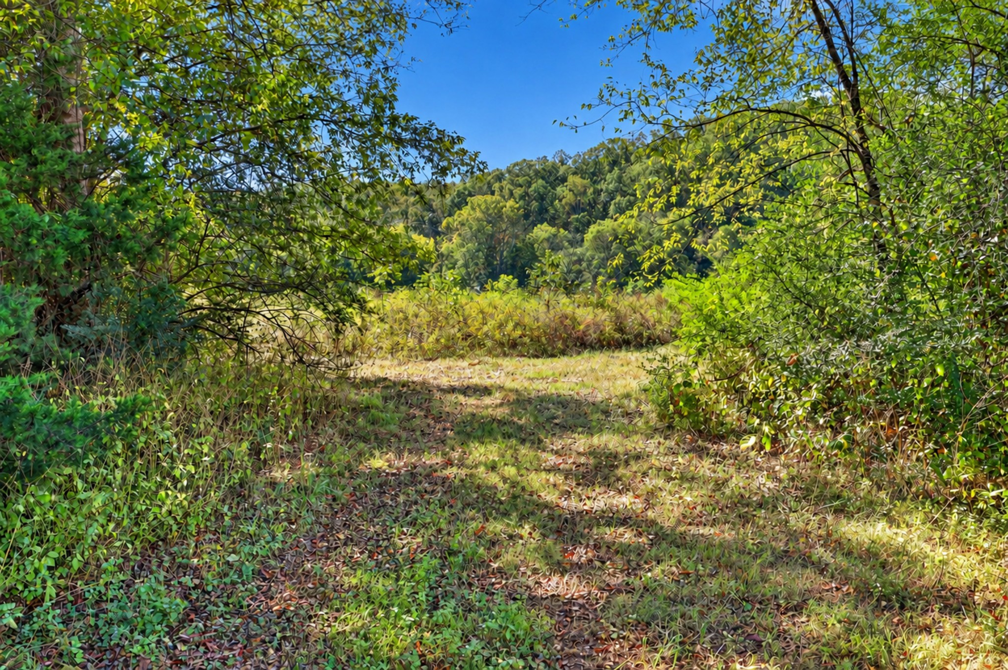 160 Backside Beaverdam Road Property Photo 12