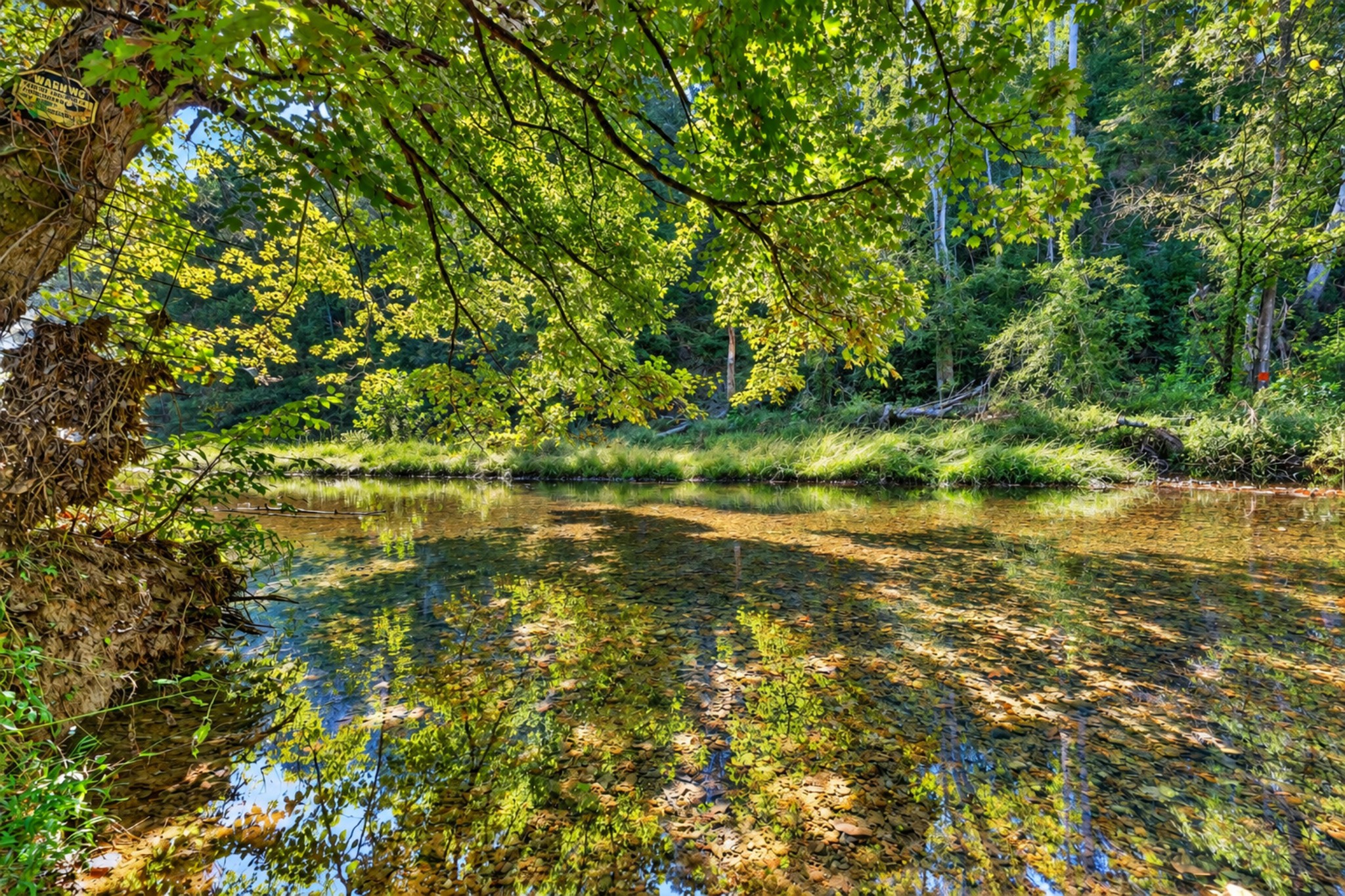 160 Backside Beaverdam Road Property Photo 15