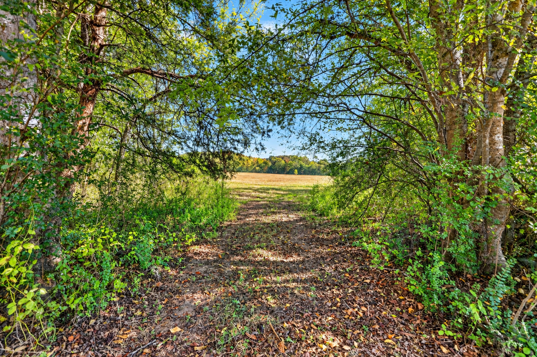 160 Backside Beaverdam Road Property Photo 18
