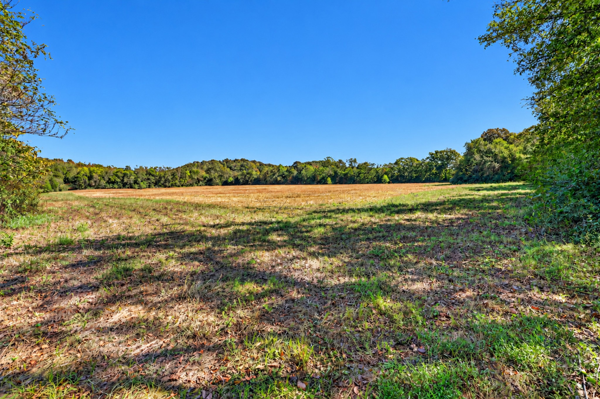160 Backside Beaverdam Road Property Photo 19