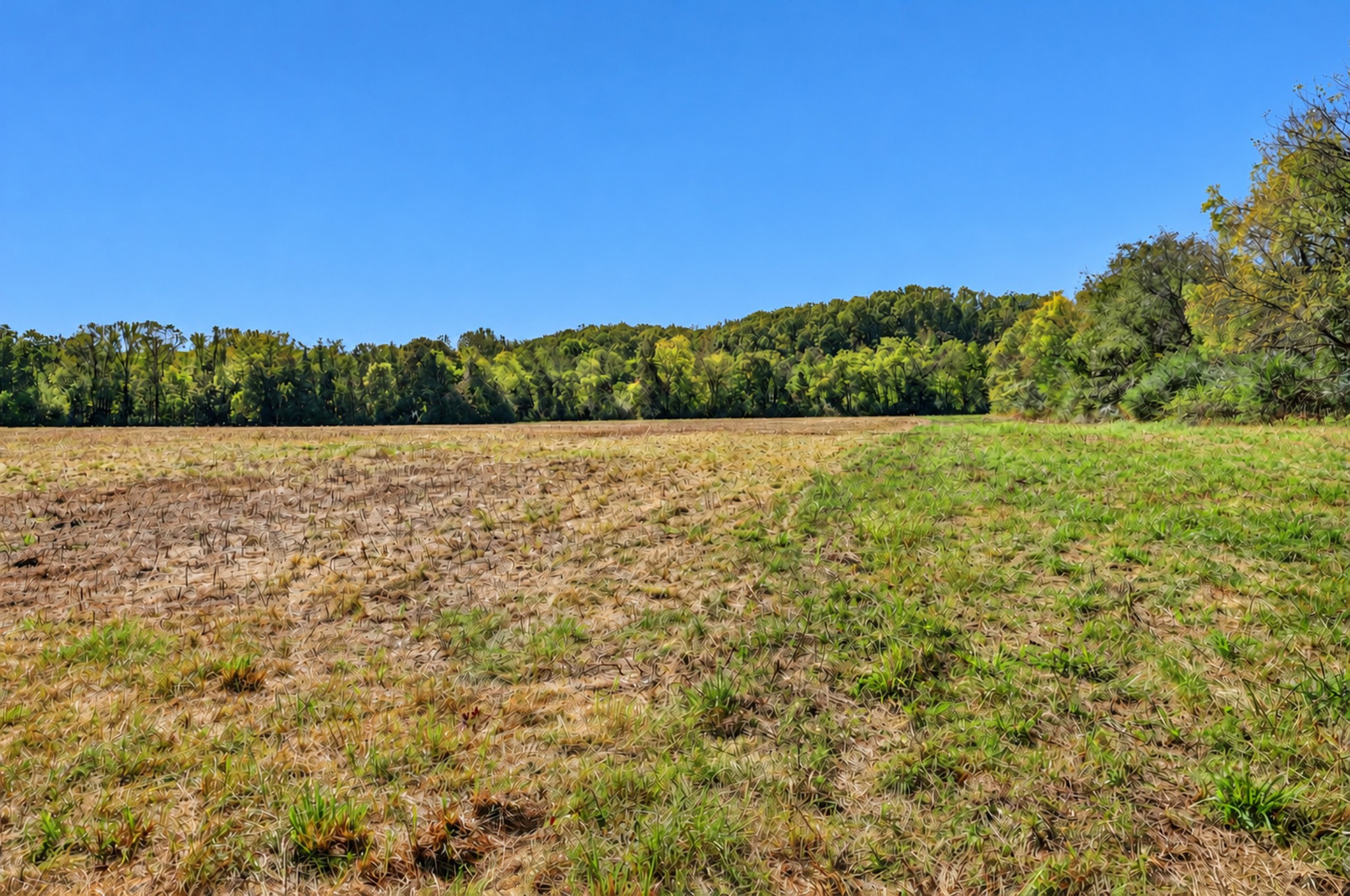 160 Backside Beaverdam Road Property Photo 20