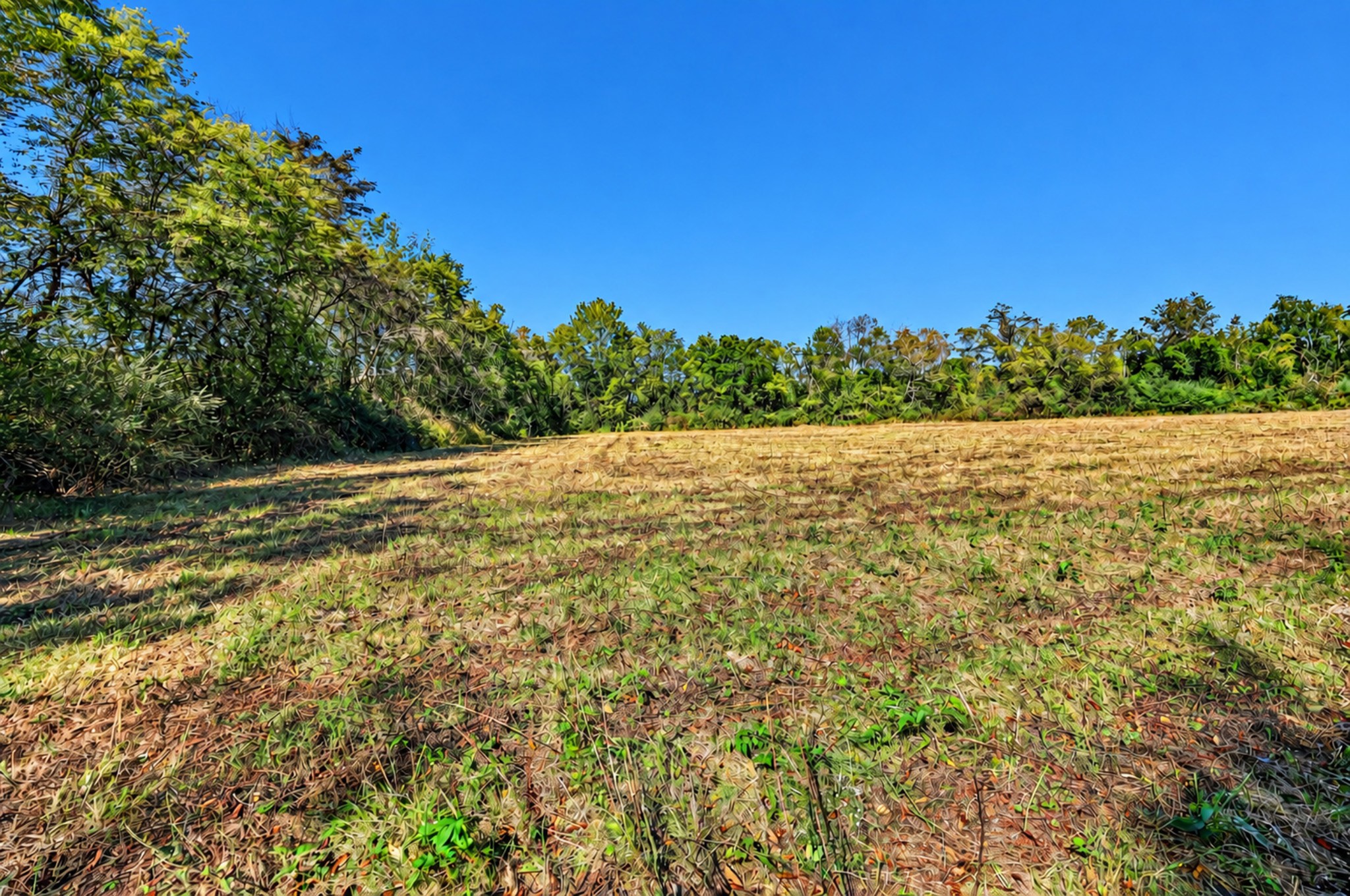 160 Backside Beaverdam Road Property Photo 21