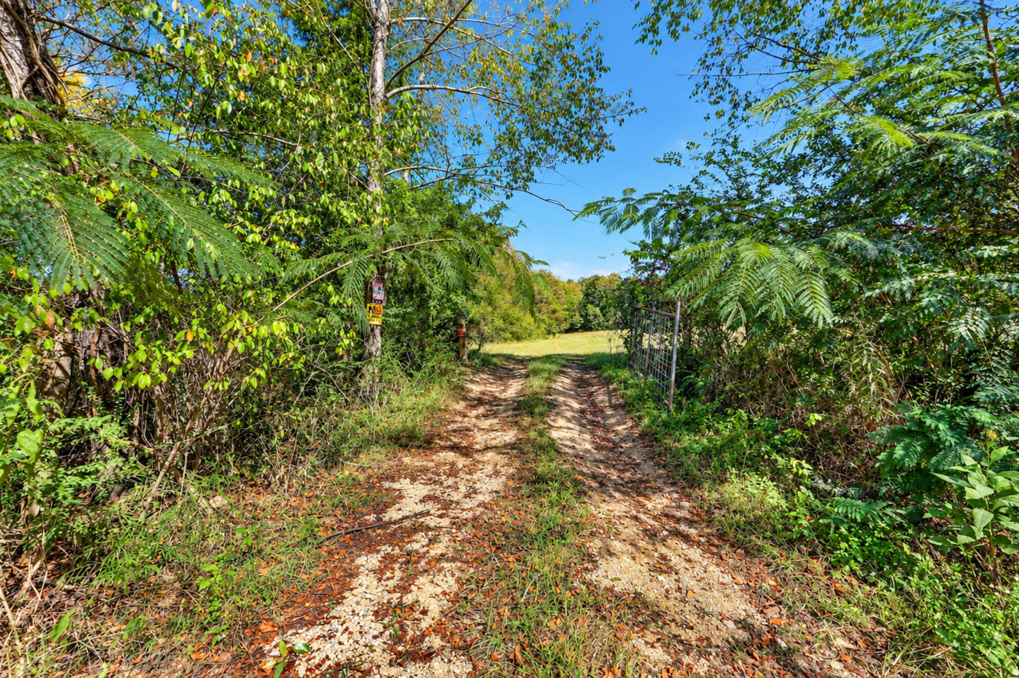 160 Backside Beaverdam Road Property Photo 22