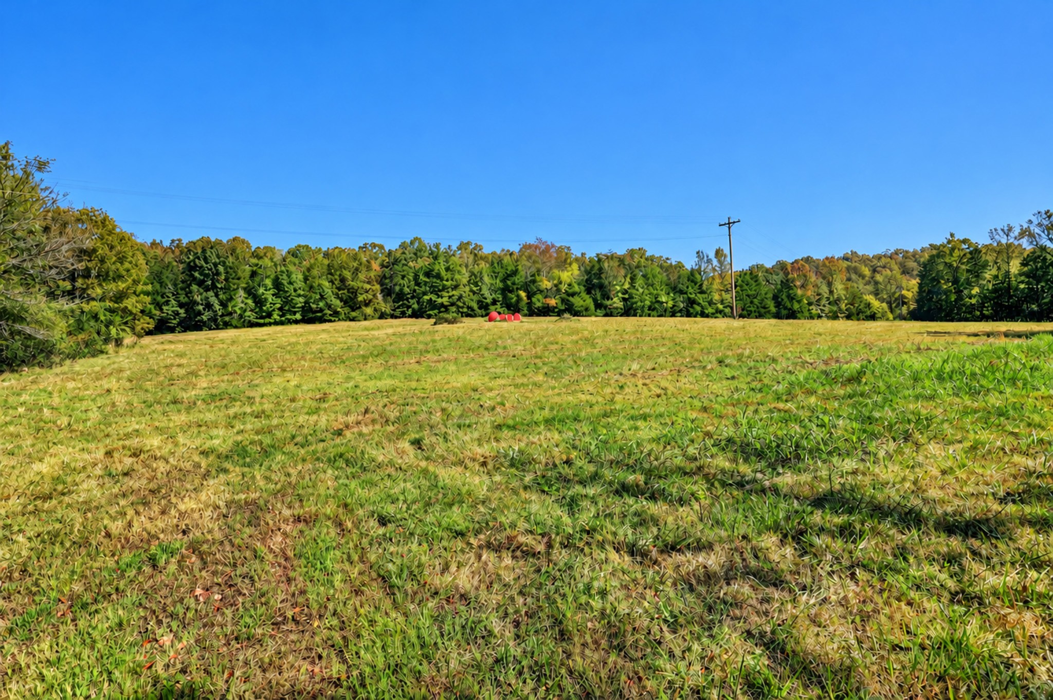 160 Backside Beaverdam Road Property Photo 23
