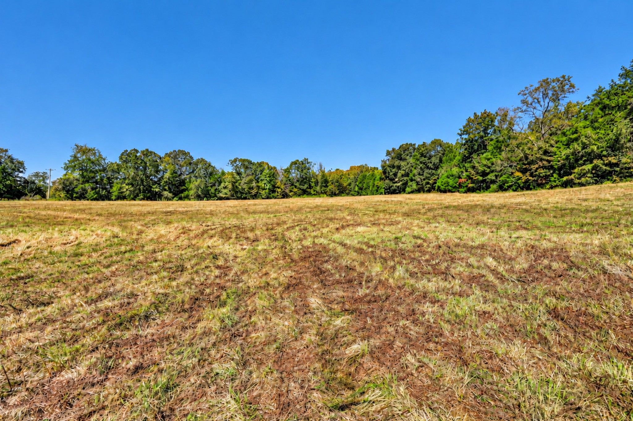 160 Backside Beaverdam Road Property Photo 24