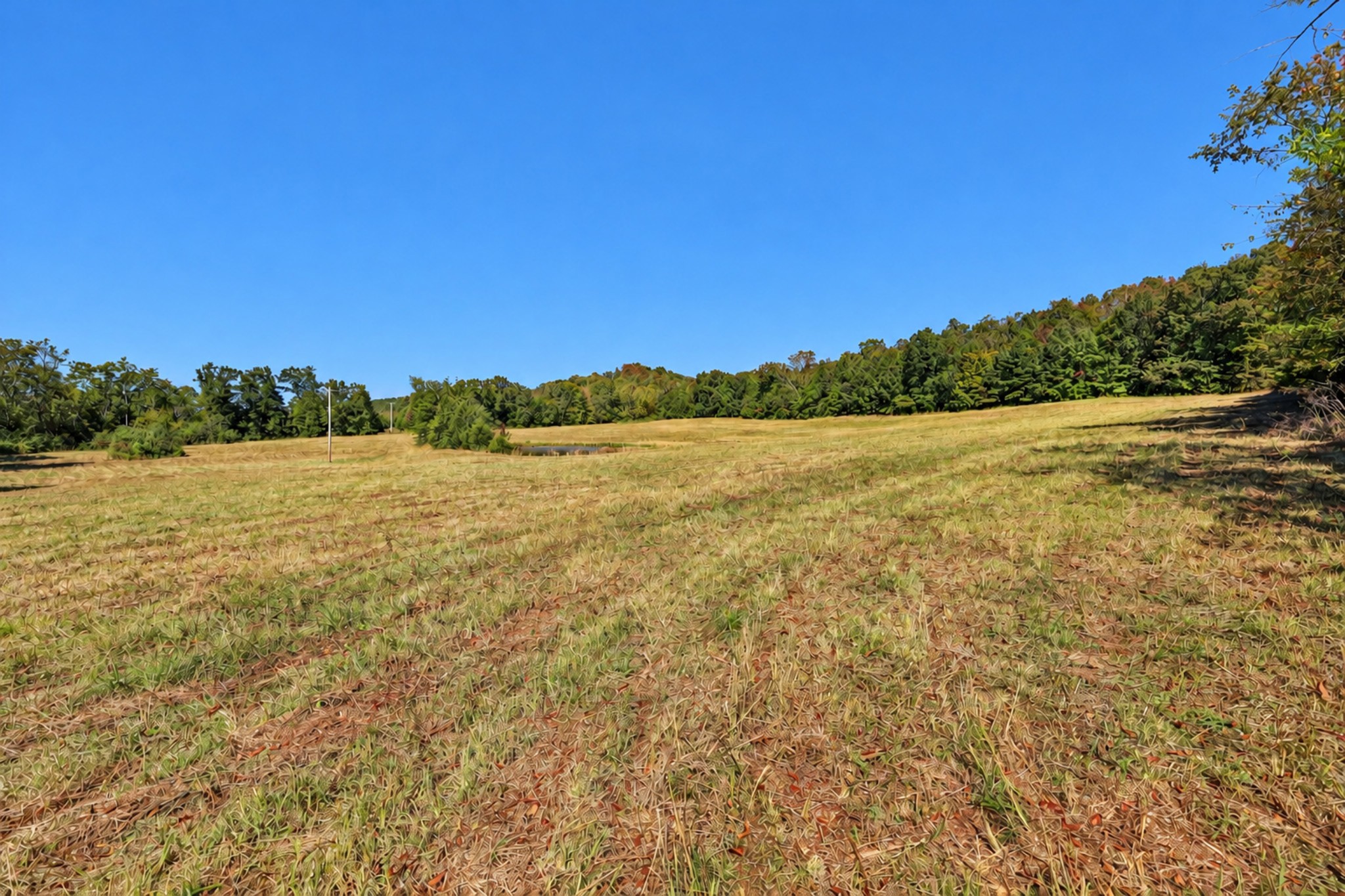 160 Backside Beaverdam Road Property Photo 25