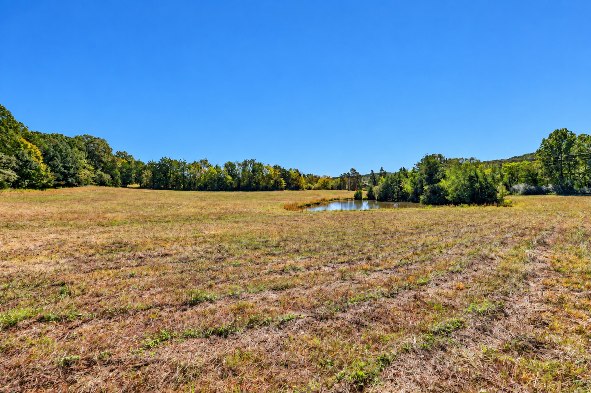 160 Backside Beaverdam Road Property Photo 26