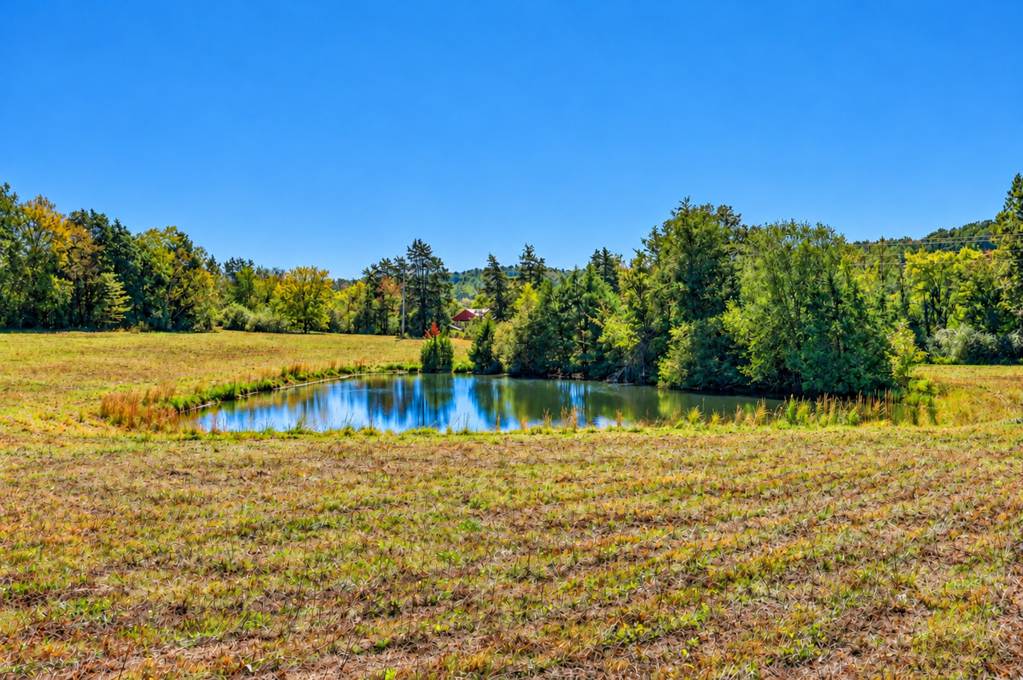 160 Backside Beaverdam Road Property Photo 27