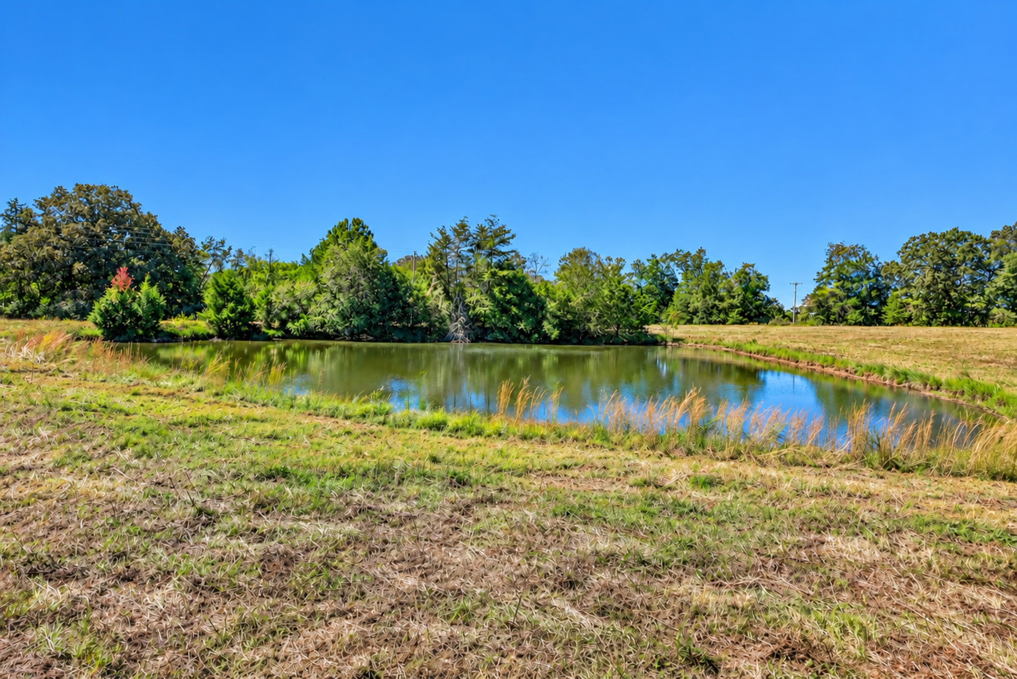 160 Backside Beaverdam Road Property Photo 28