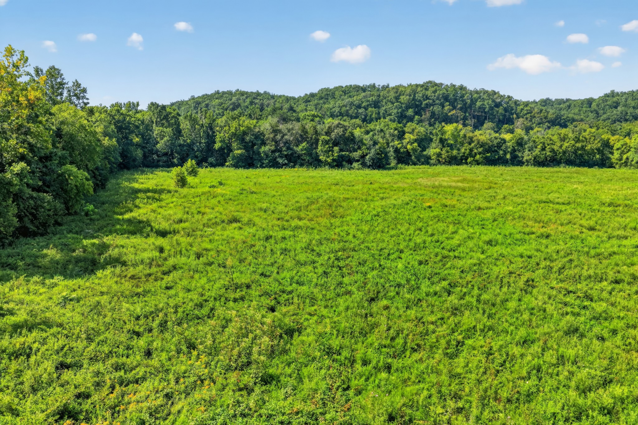 160 Backside Beaverdam Road Property Photo 53