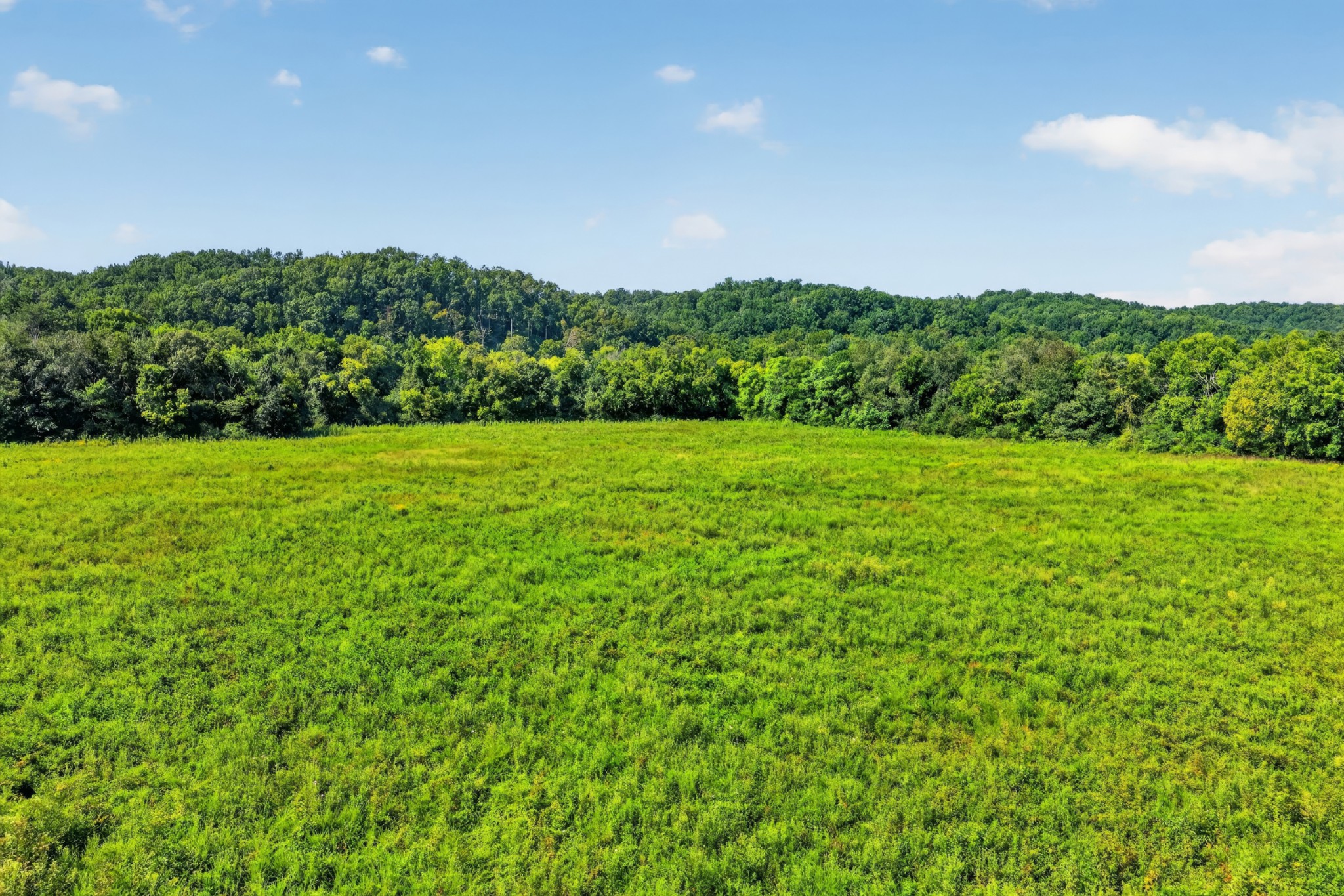 160 Backside Beaverdam Road Property Photo 59