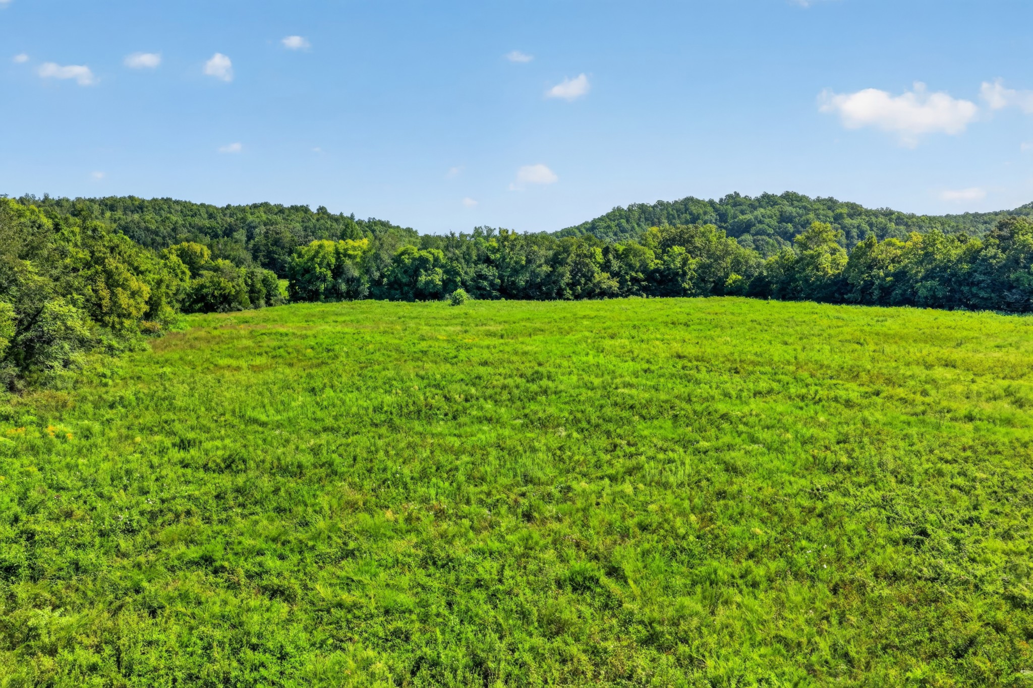 160 Backside Beaverdam Road Property Photo 60