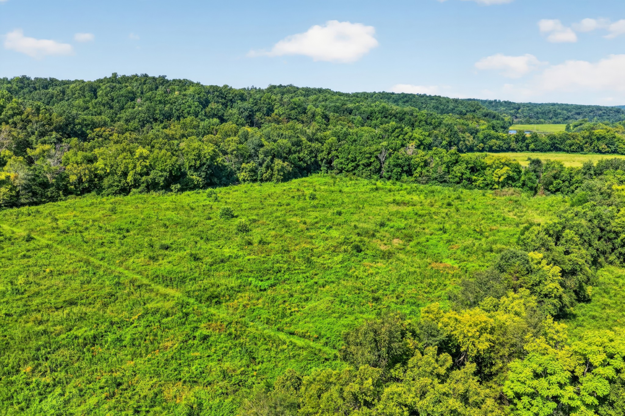 160 Backside Beaverdam Road Property Photo 61