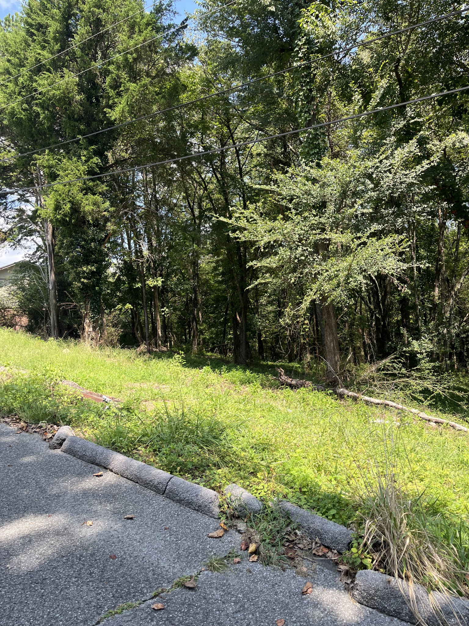 0 Sierra Drive Property Photo 2