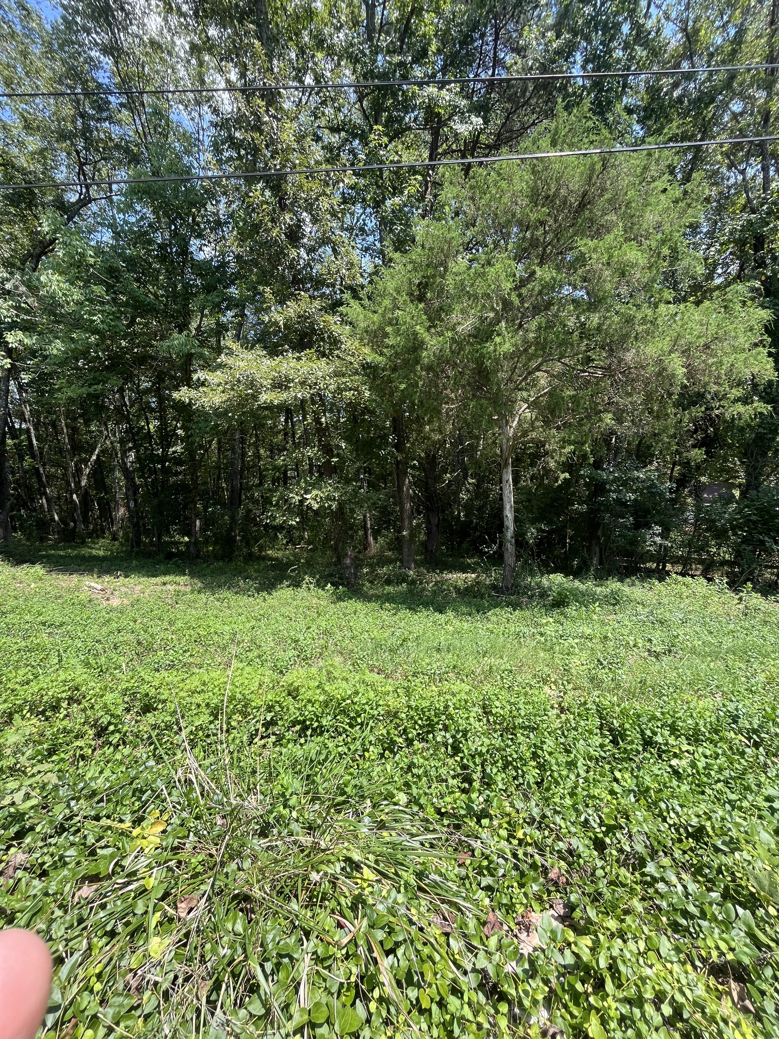 0 Sierra Drive Property Photo 5