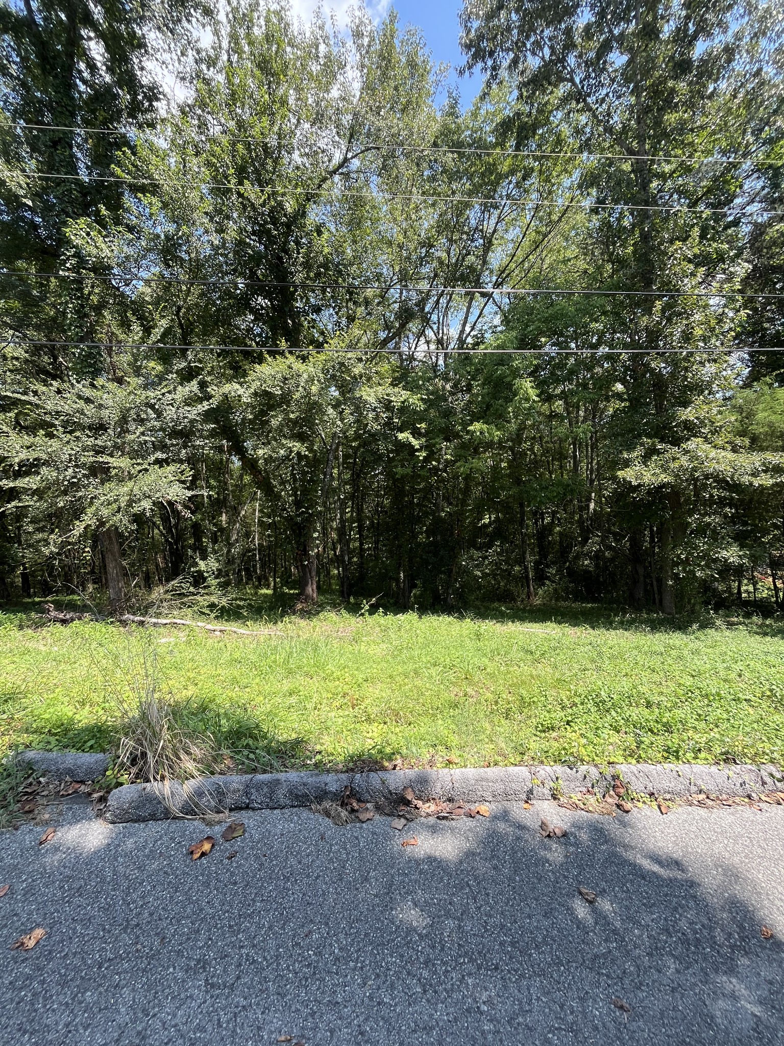 0 Sierra Drive Property Photo 6