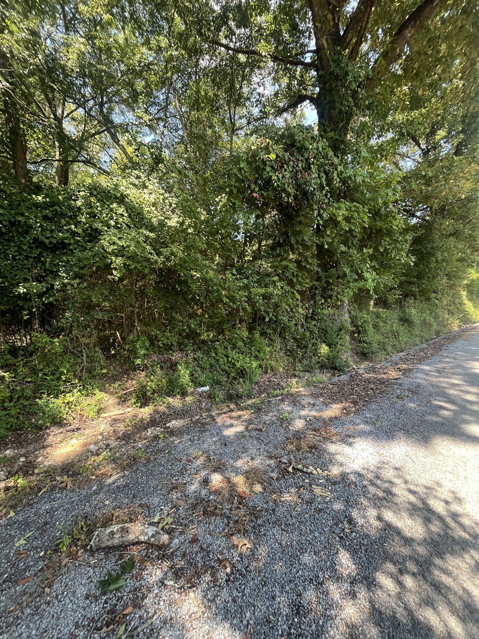 0 Sierra Drive Property Photo 8