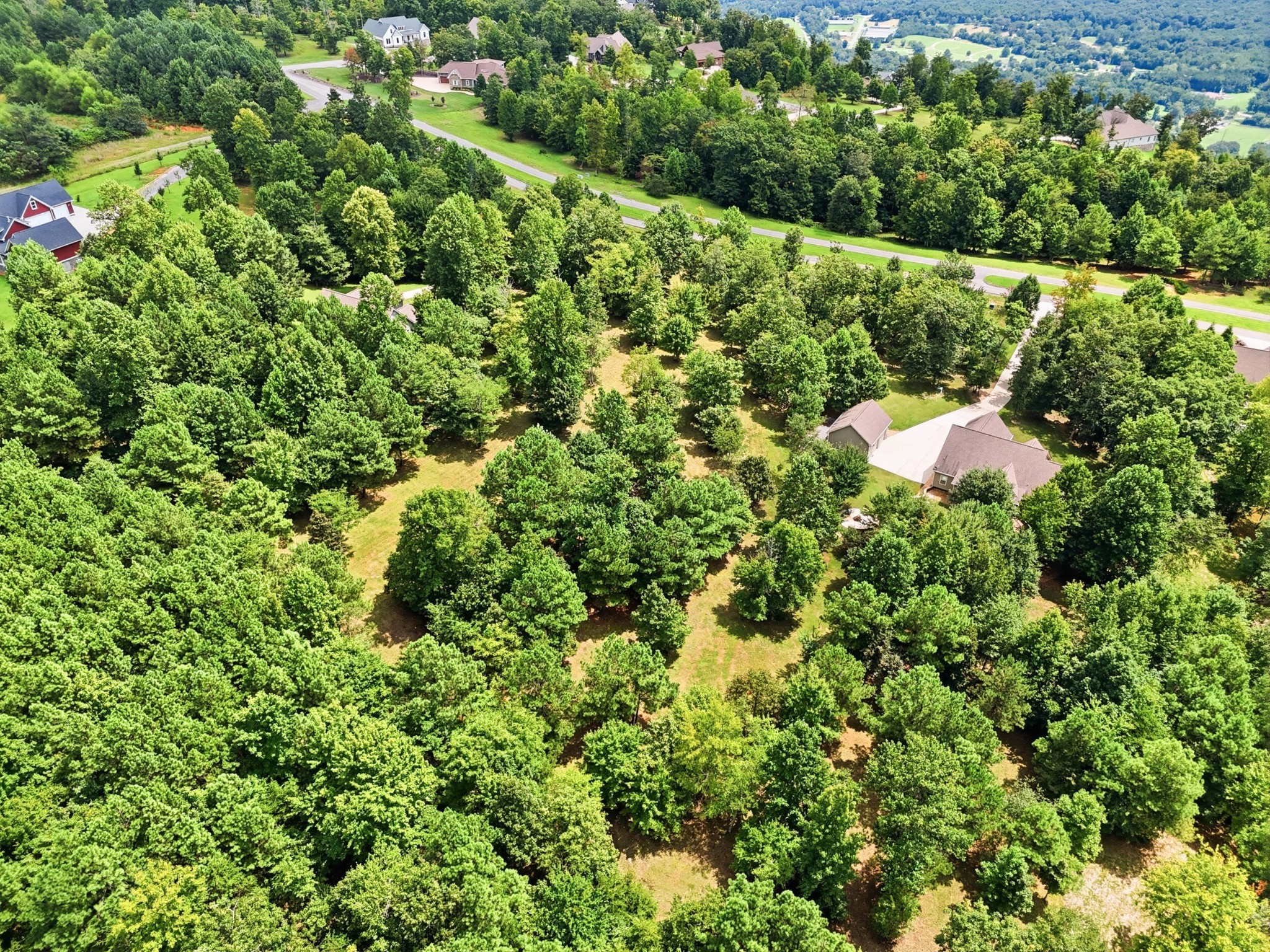 1625 River Bluffs Drive Property Photo 72
