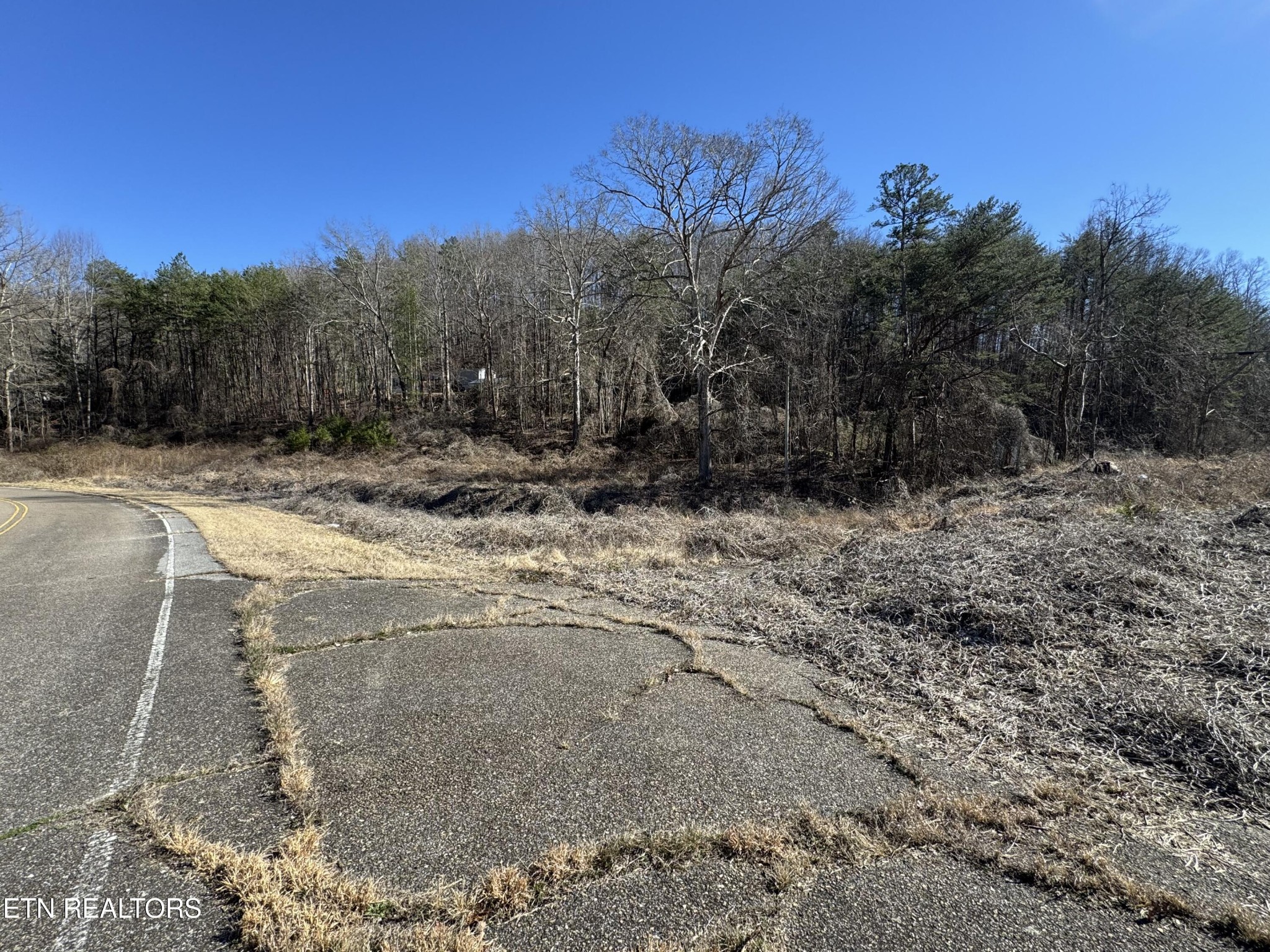 0 Scott Highway Property Photo 5