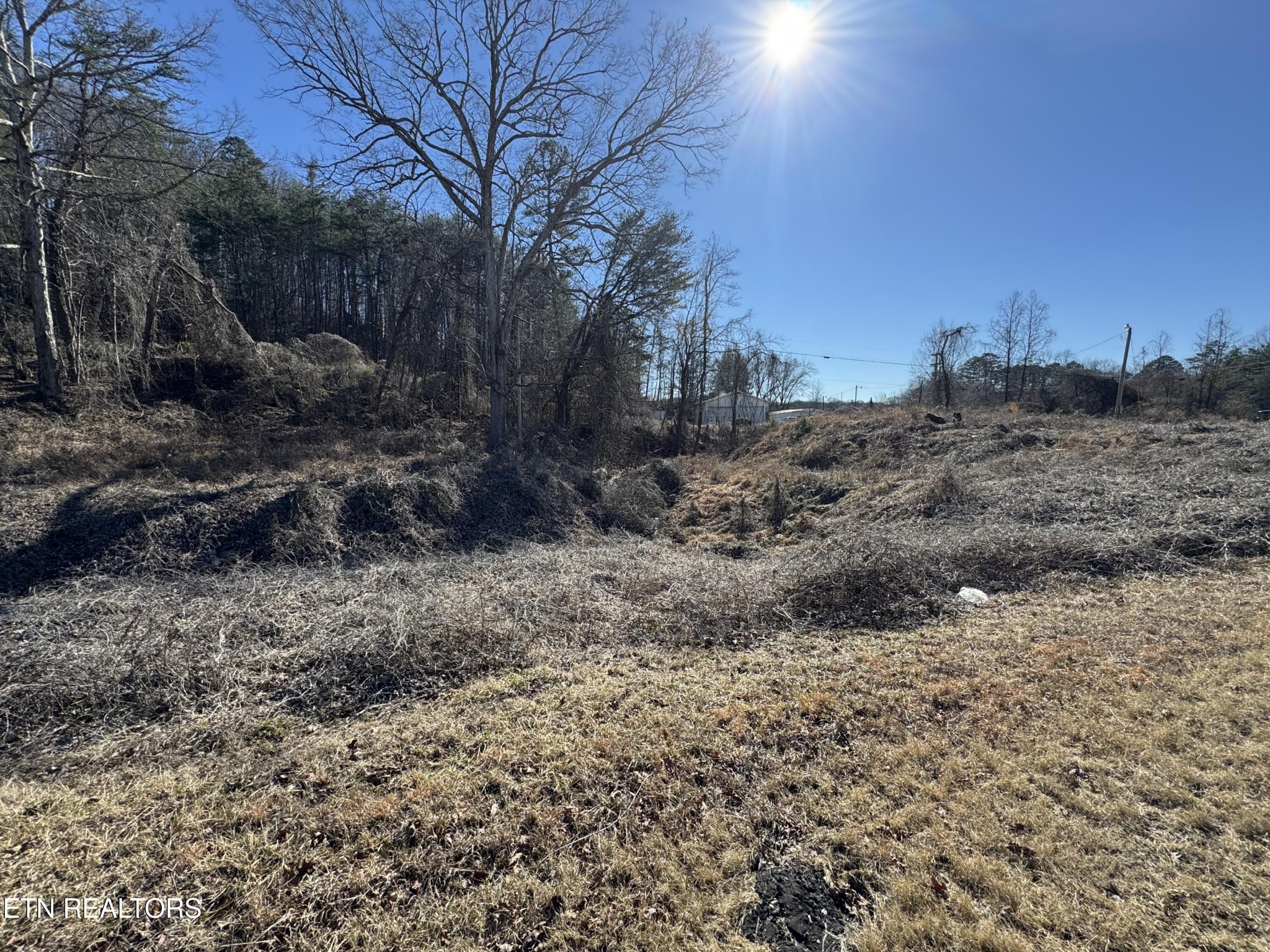 0 Scott Highway Property Photo 6