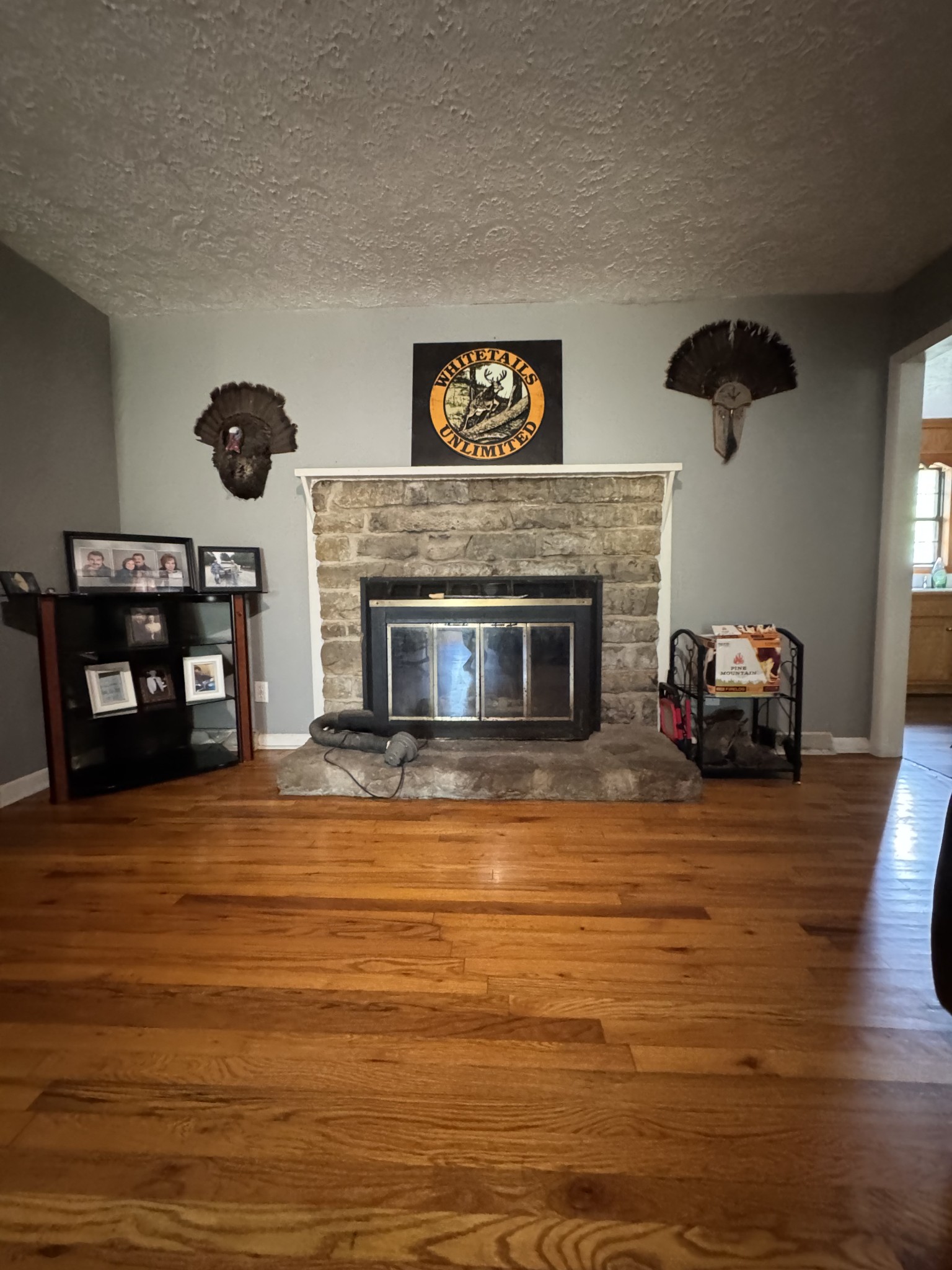 531 Oakley Hollow Rd Property Photo 5