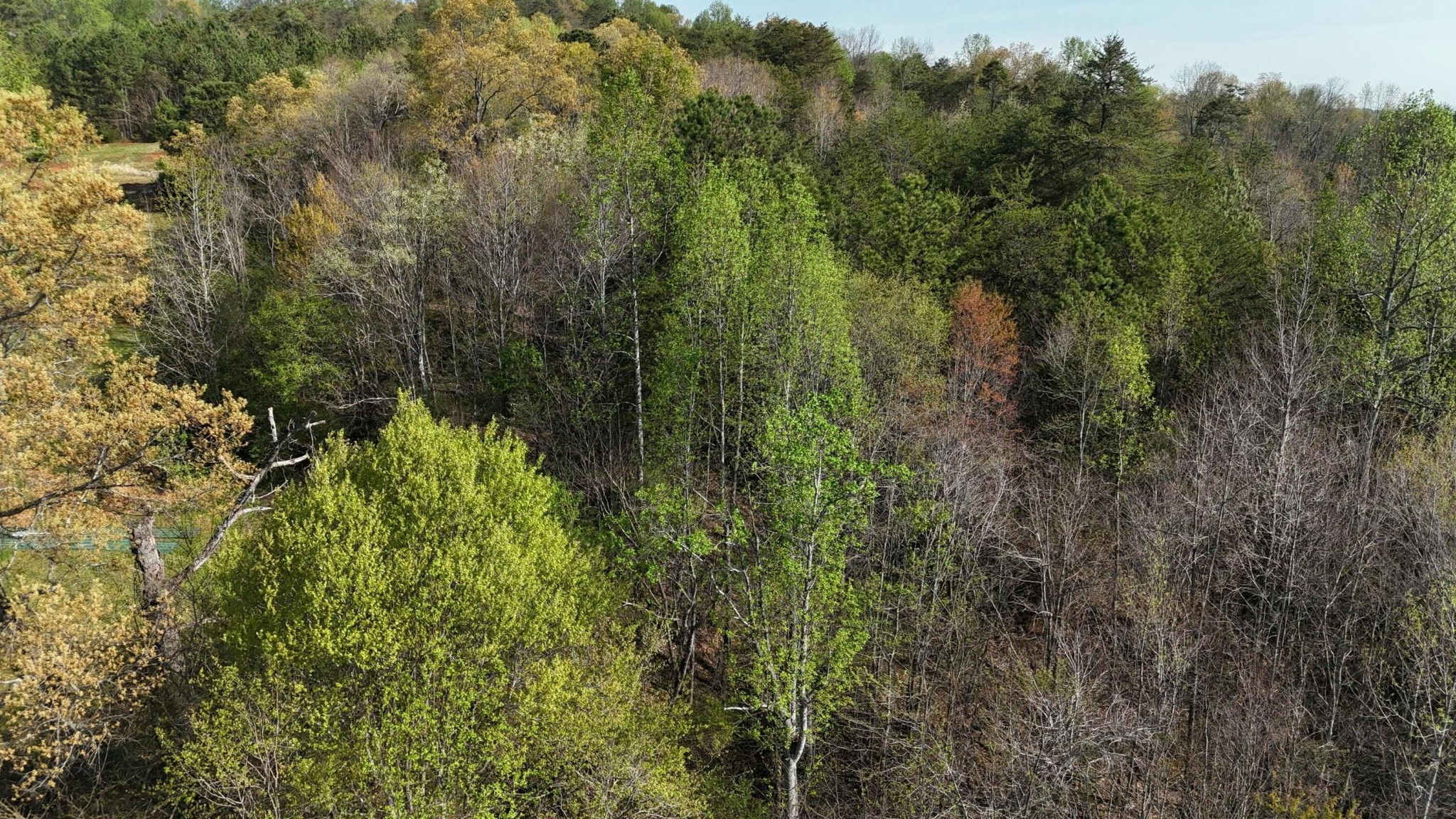 0 County Road 675 Property Photo 1