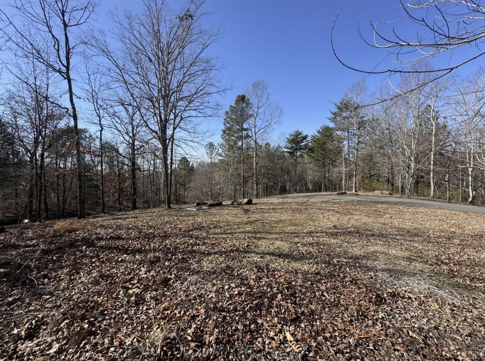 0 Fox Trail Drive Property Photo 1