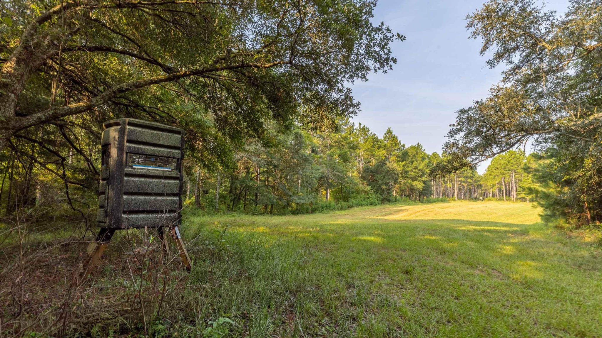 6604 Pine Island Road Property Photo 27