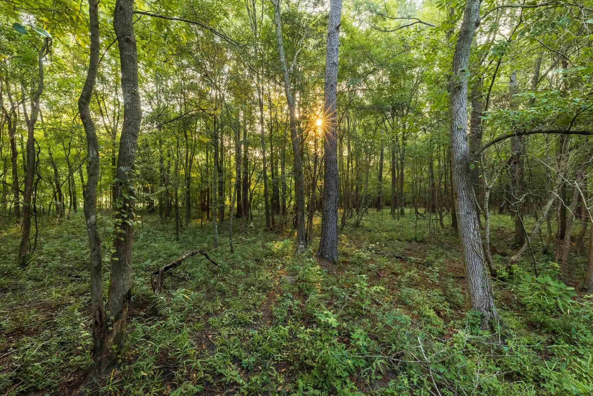 6604 Pine Island Road Property Photo 40