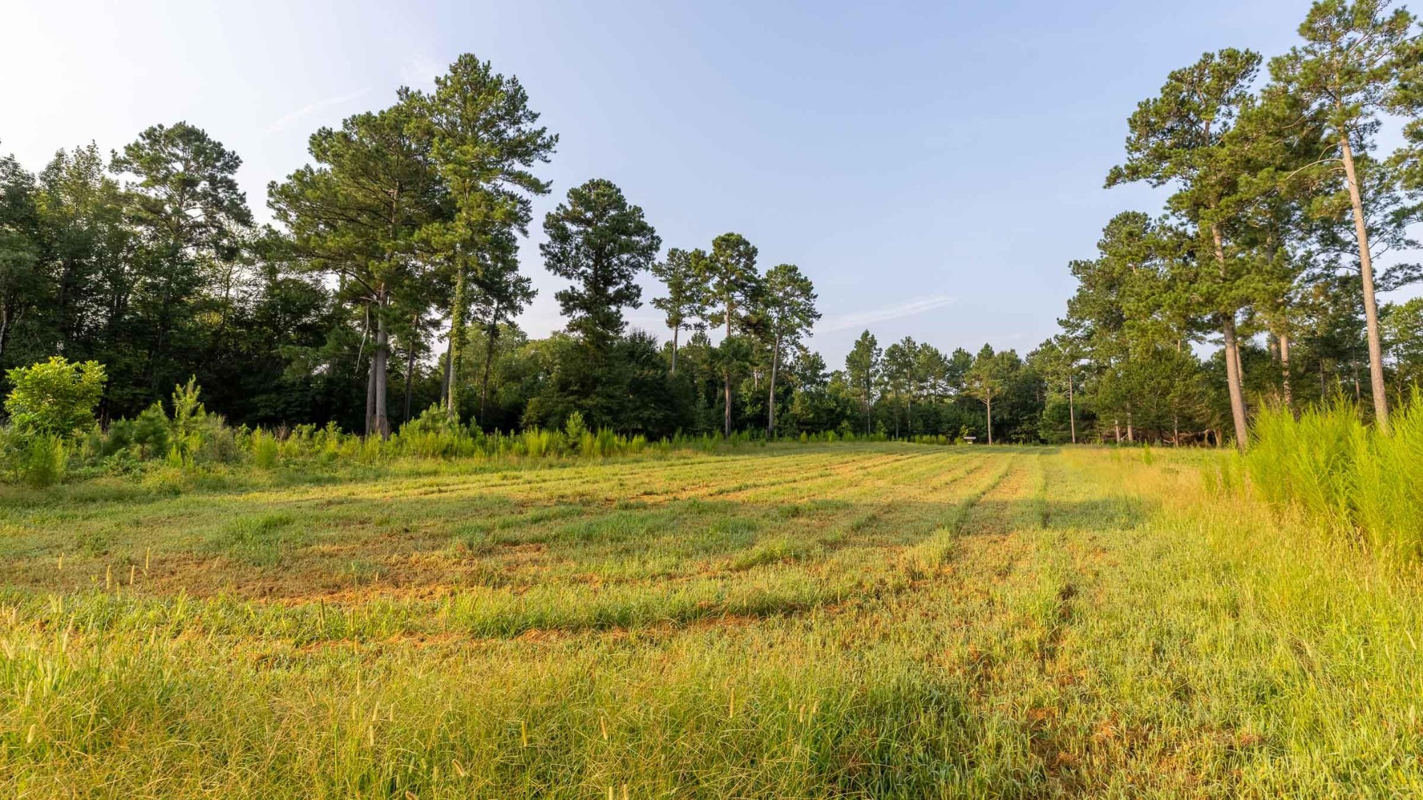 6604 Pine Island Road Property Photo 42