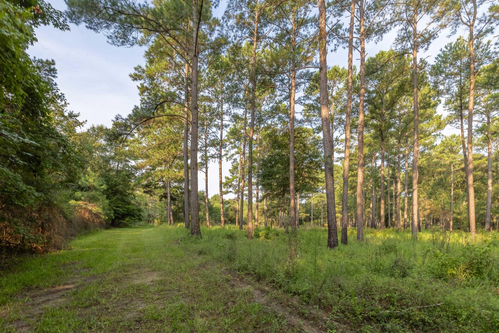 6604 Pine Island Road Property Photo 44