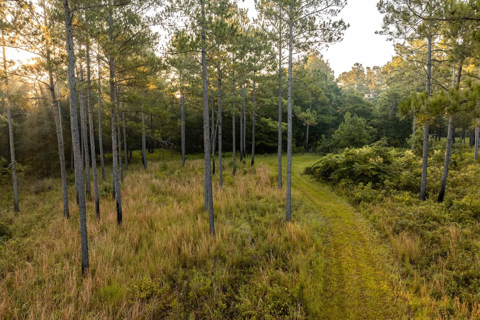 6604 Pine Island Road Property Photo 45
