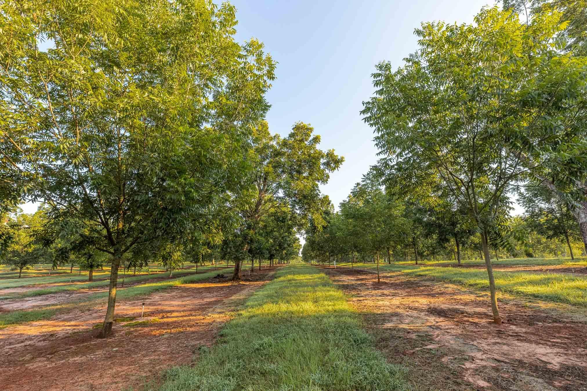 6604 Pine Island Road Property Photo 85