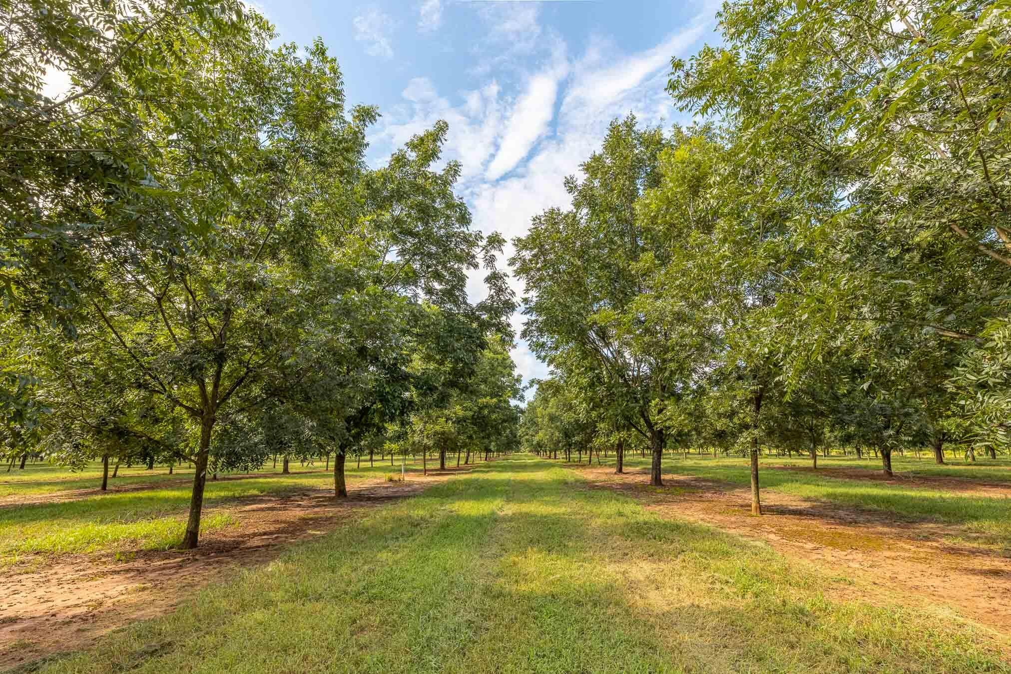 6604 Pine Island Road Property Photo 87