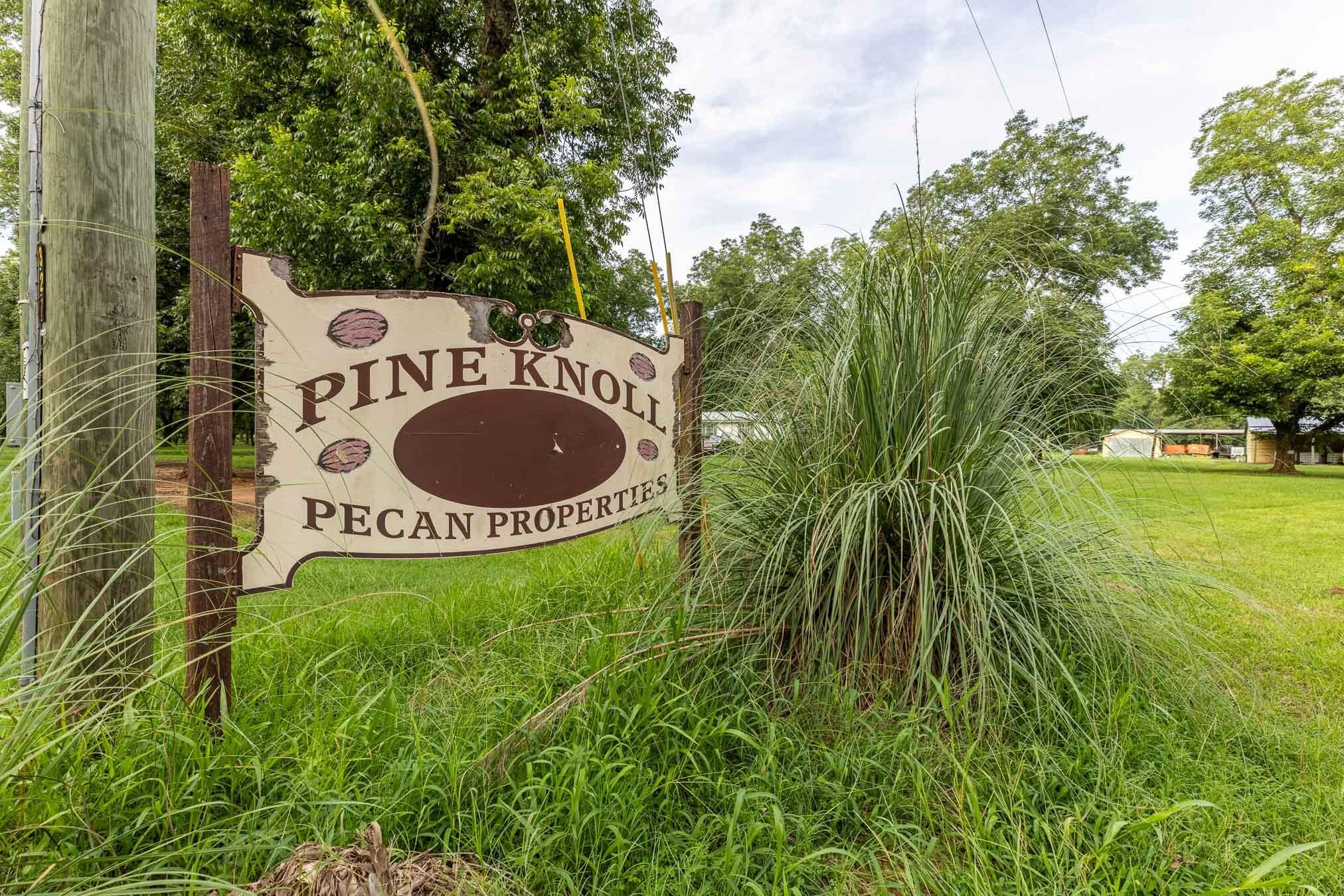 175 Pecan Road Property Photo 36